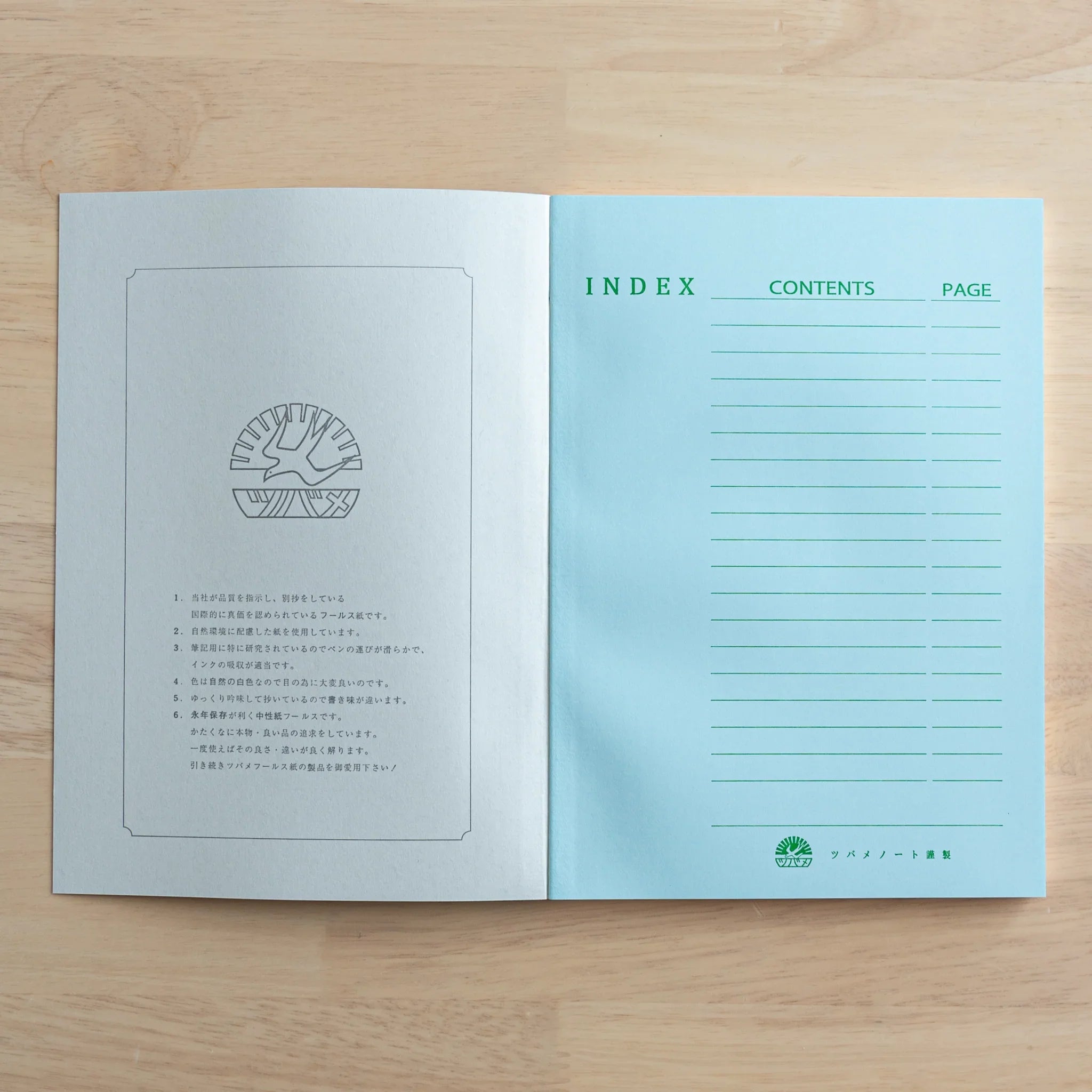 Index contents page spread with turquoise section and indexed entry lines for table of contents listing
