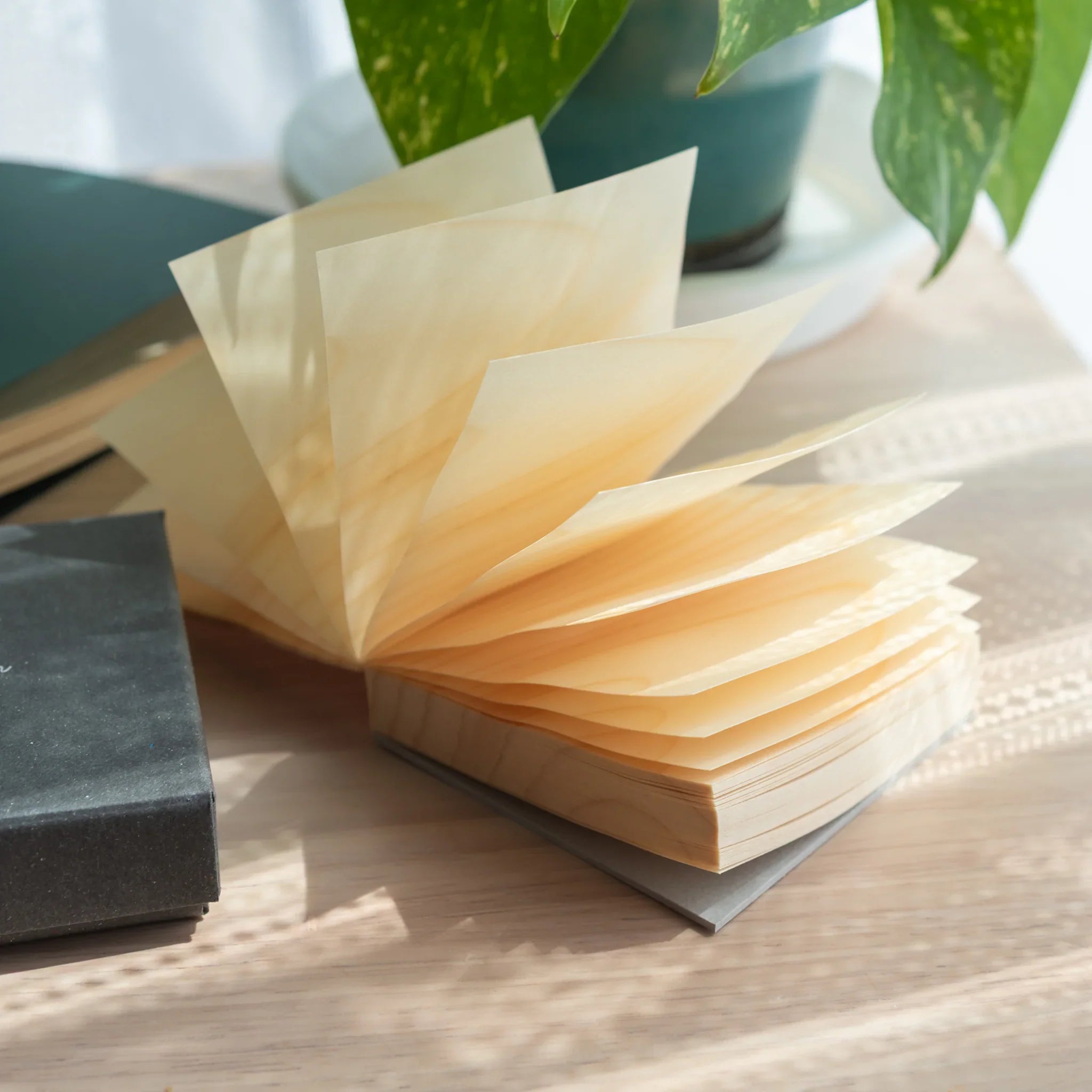 Japanese wooden sheet memo pad with wood veneer sheets fanned open showing natural amber grain and flexible texture