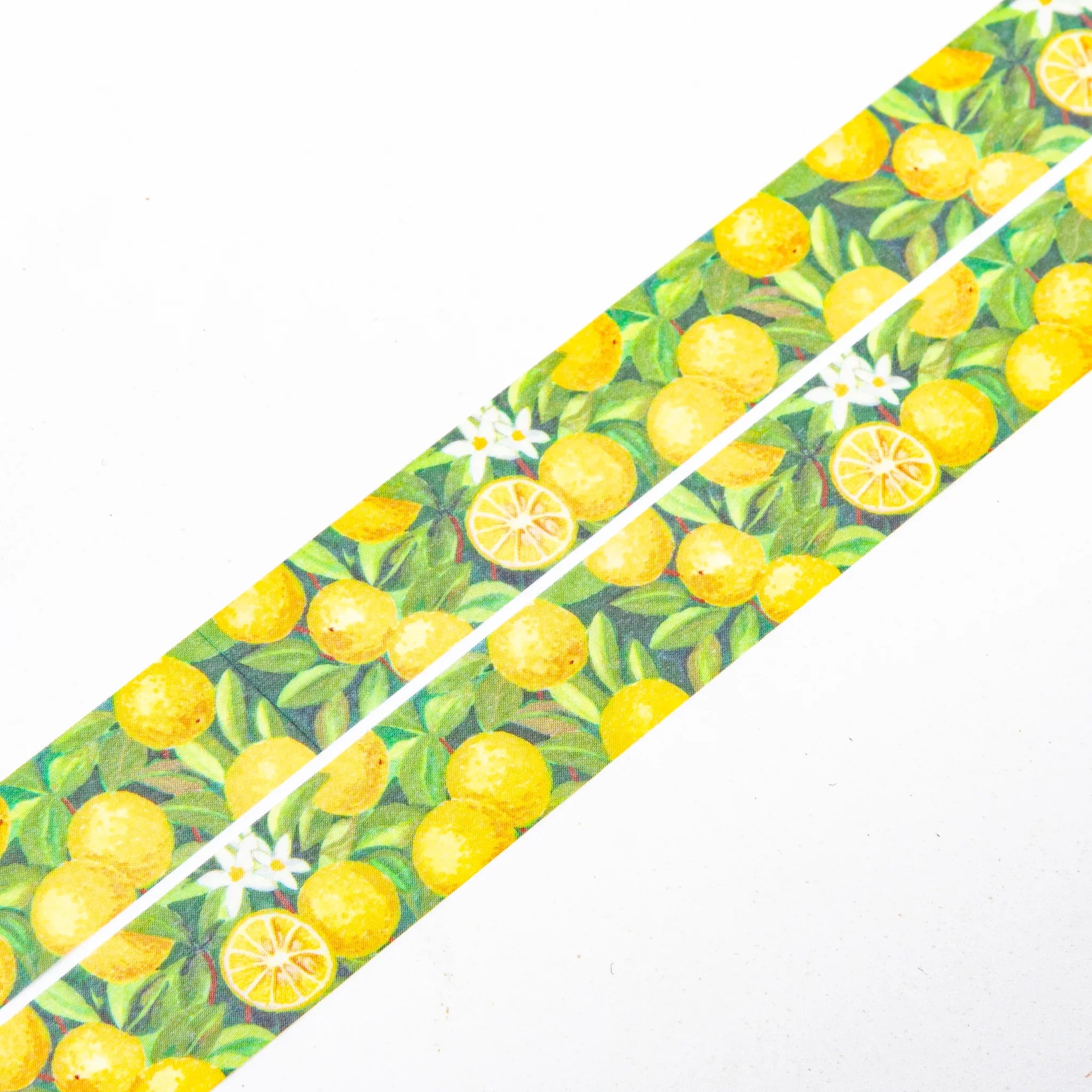 Yuzu Iyo Washi Tape showing round citrus fruit designs and ornamental patterns in watercolor illustration style