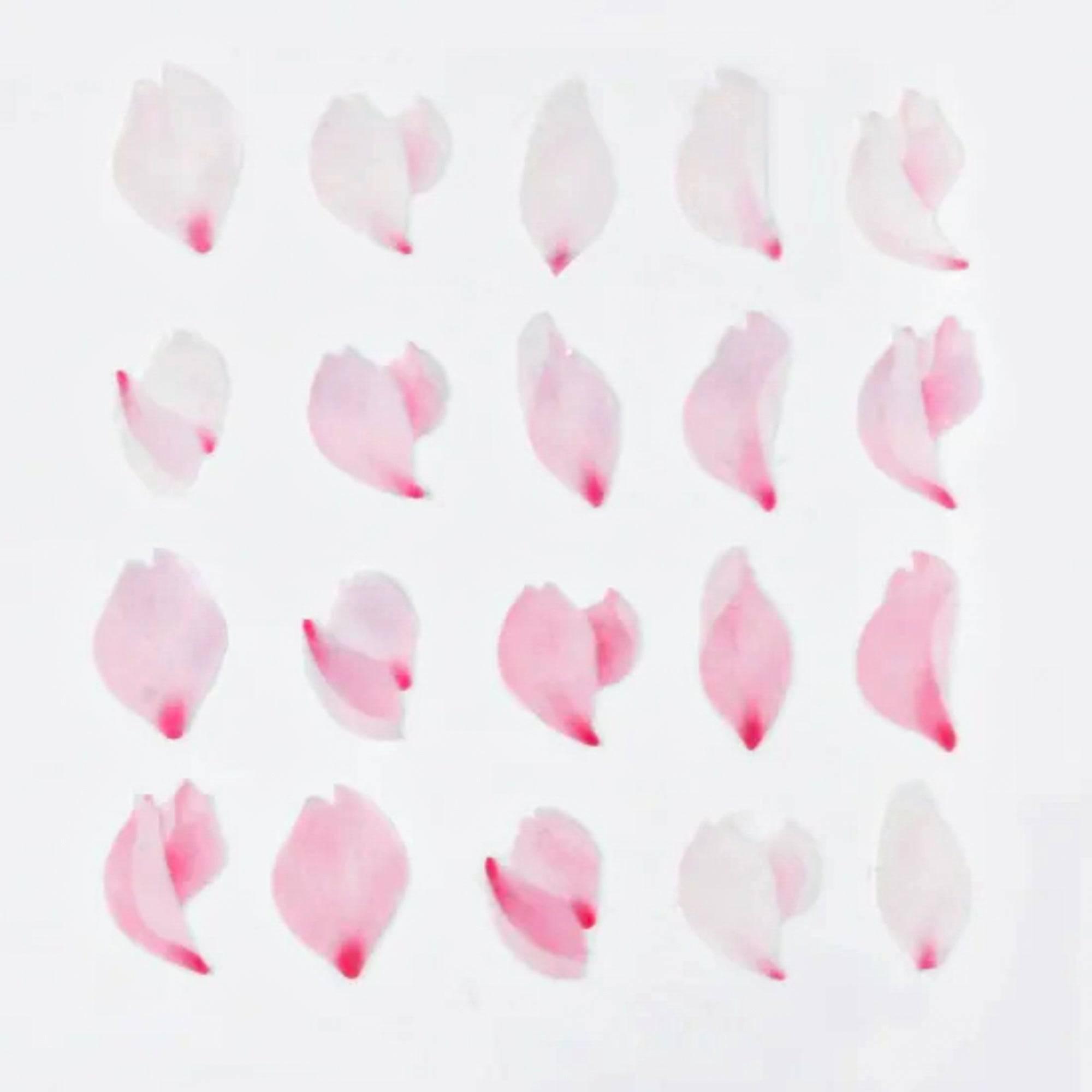 A grid display of sakura petal stickers from the bande collection, showcasing various shapes and gentle shades of pink and white.