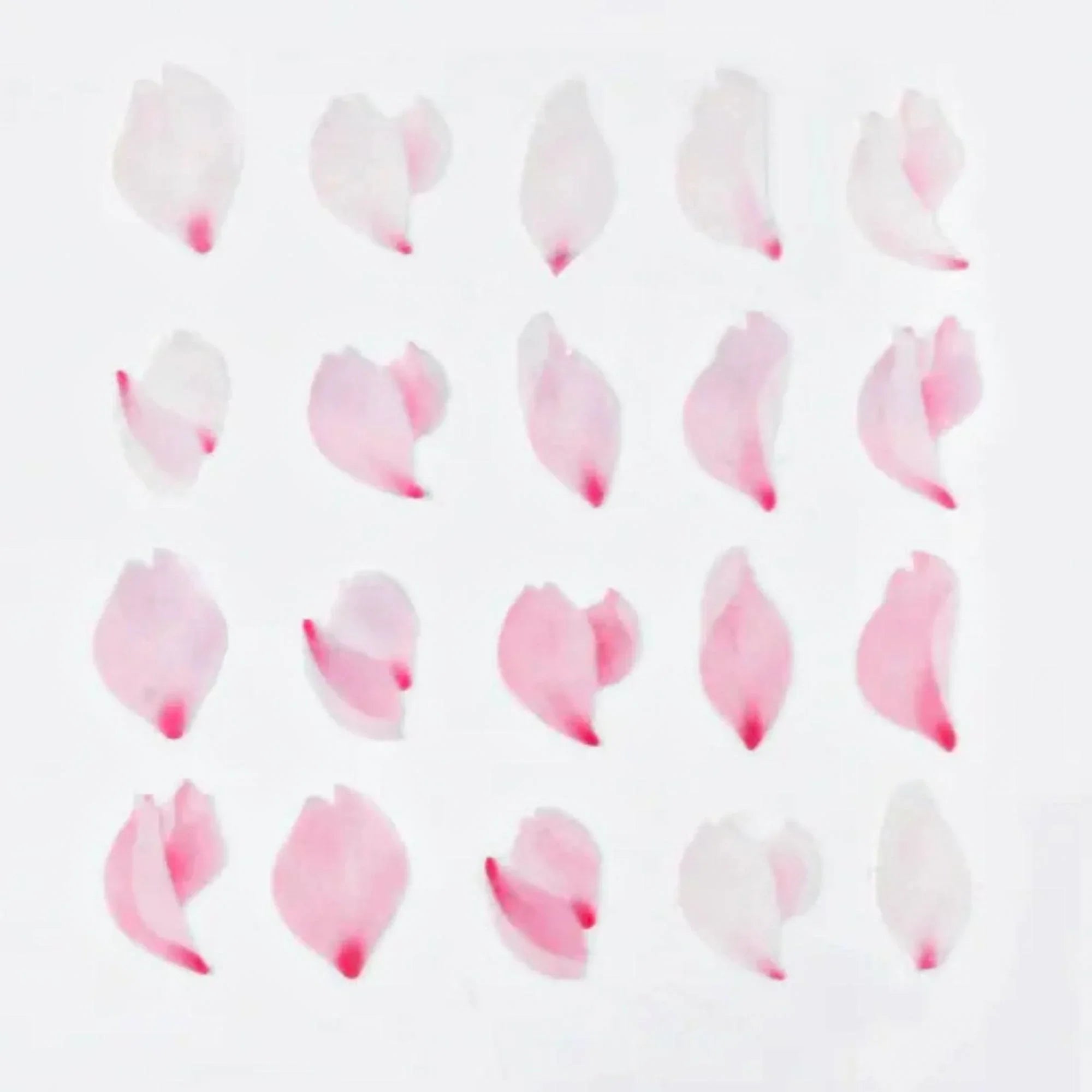 Bande Dancing Sakura Petals washi tape sticker roll displaying floating cherry blossoms with self-adhesive stickers