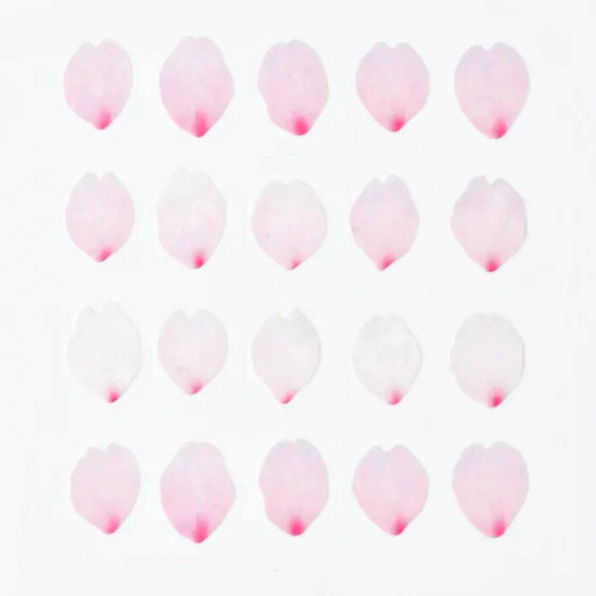 A grid display of sakura petal stickers from the bande collection, showcasing variations in shades of pink and white with subtle details.