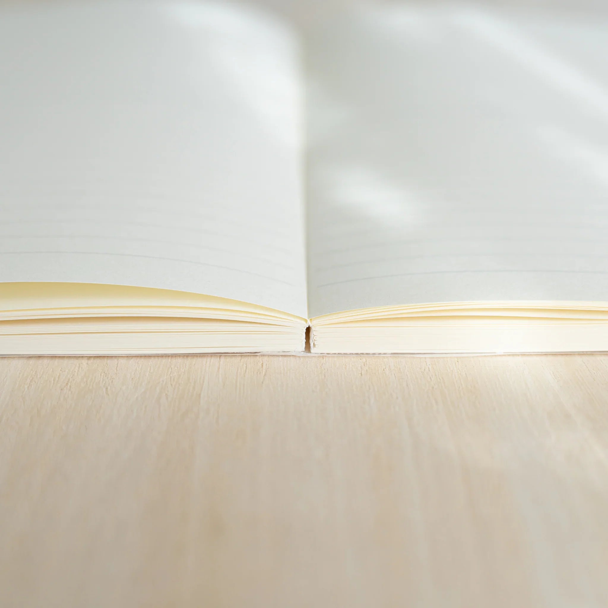Midori MD Notebook A5 opened flat, side view showing ivory lined pages and center thread-stitched binding on wood surface