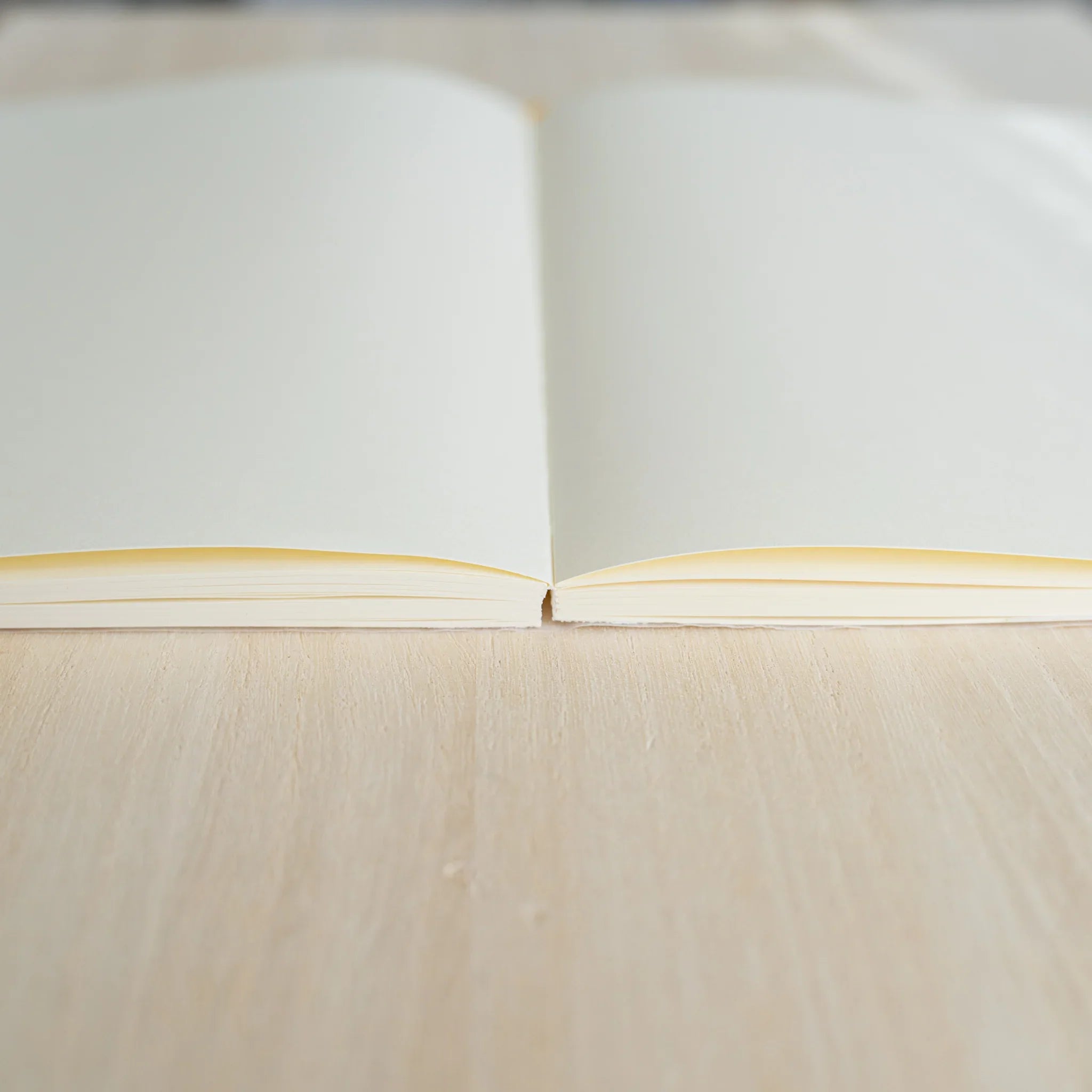Midori MD Notebook A5 opened flat, side view showing ivory blank pages and center thread-stitched binding on wood surface