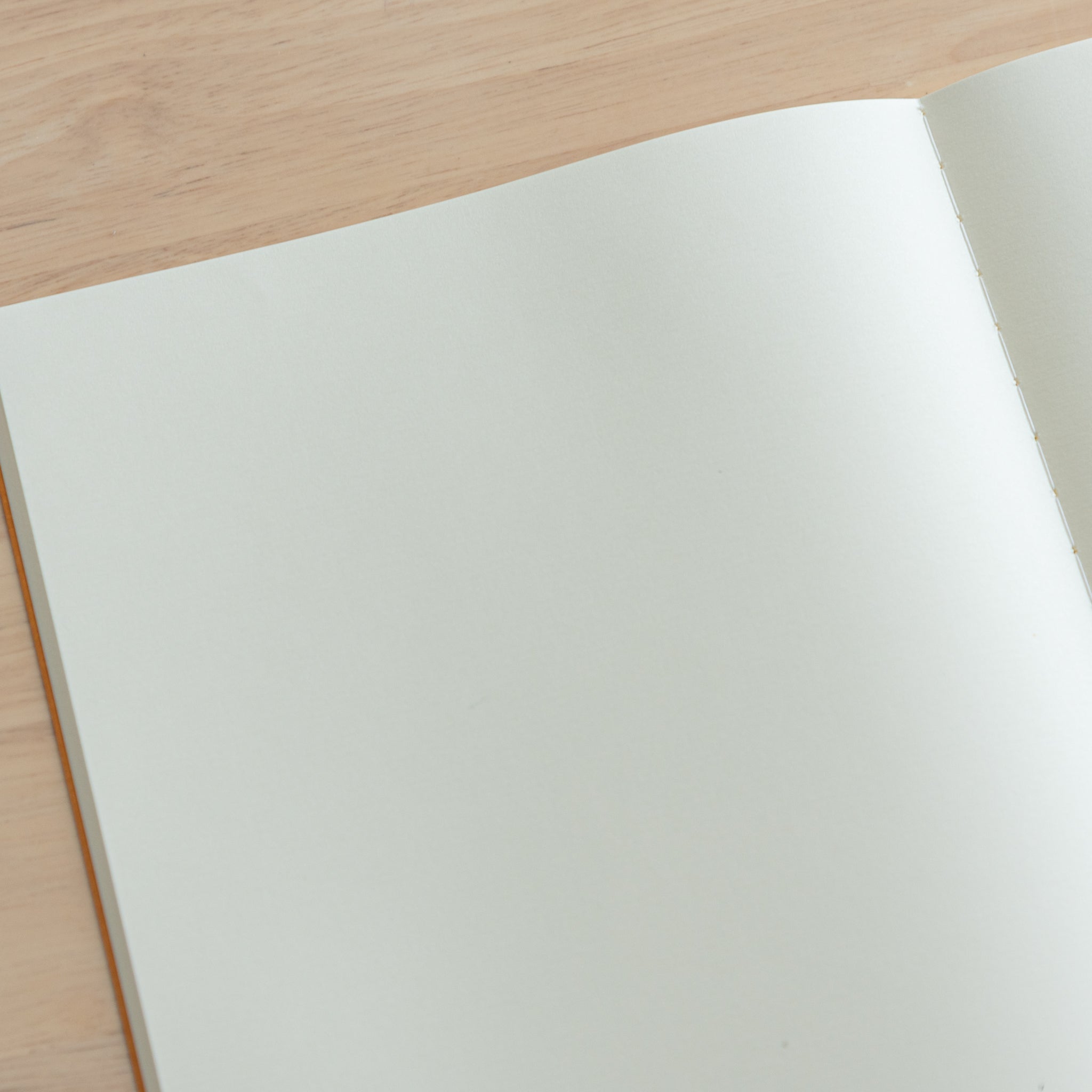 A close-up of the cream paper inside a Tsubame Japanese notebook, highlighting its smooth texture and quality. A hallmark of Japanese stationery.