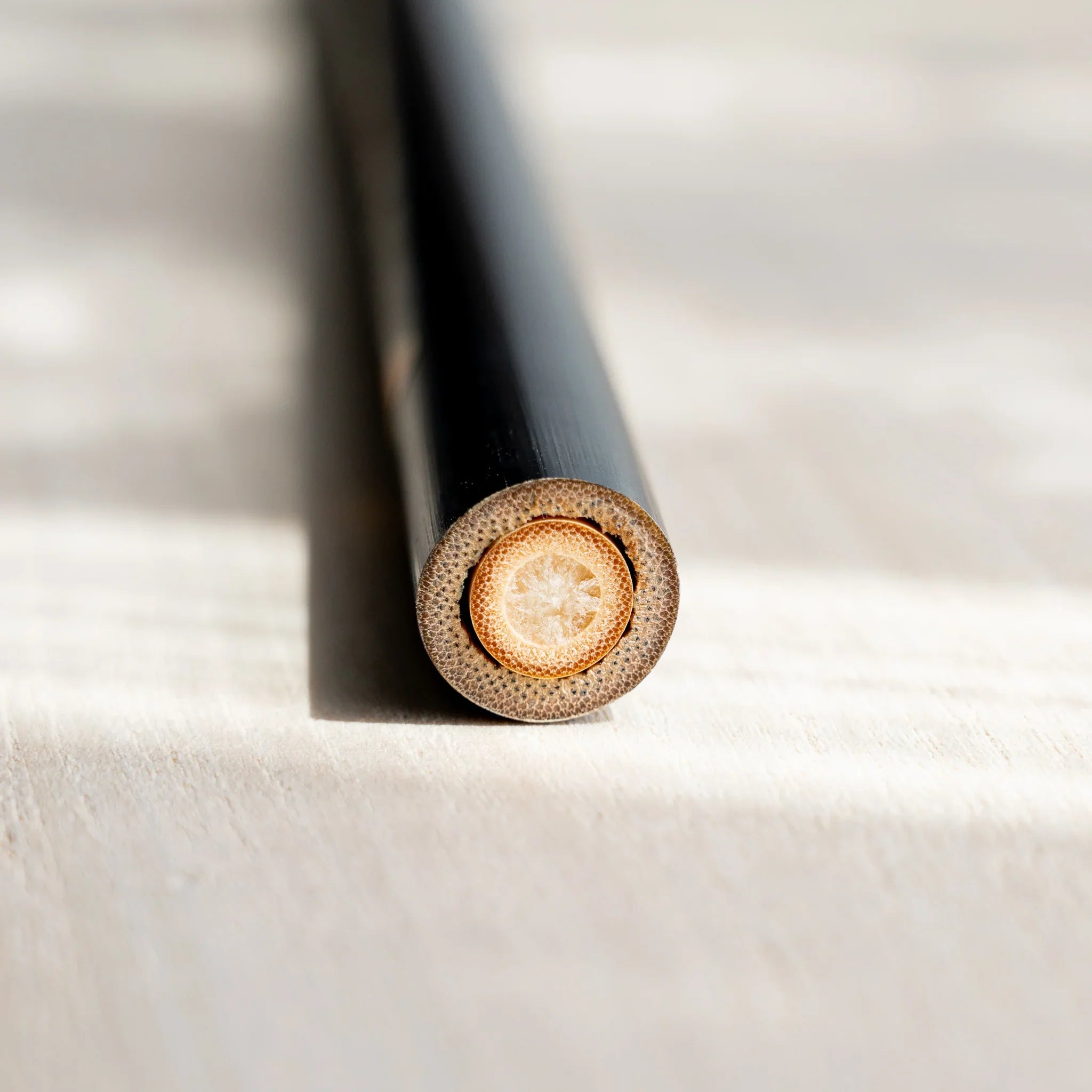 Akashiya Tsuketate painting brush (Large) close-up of the bristle pack and ferrule
