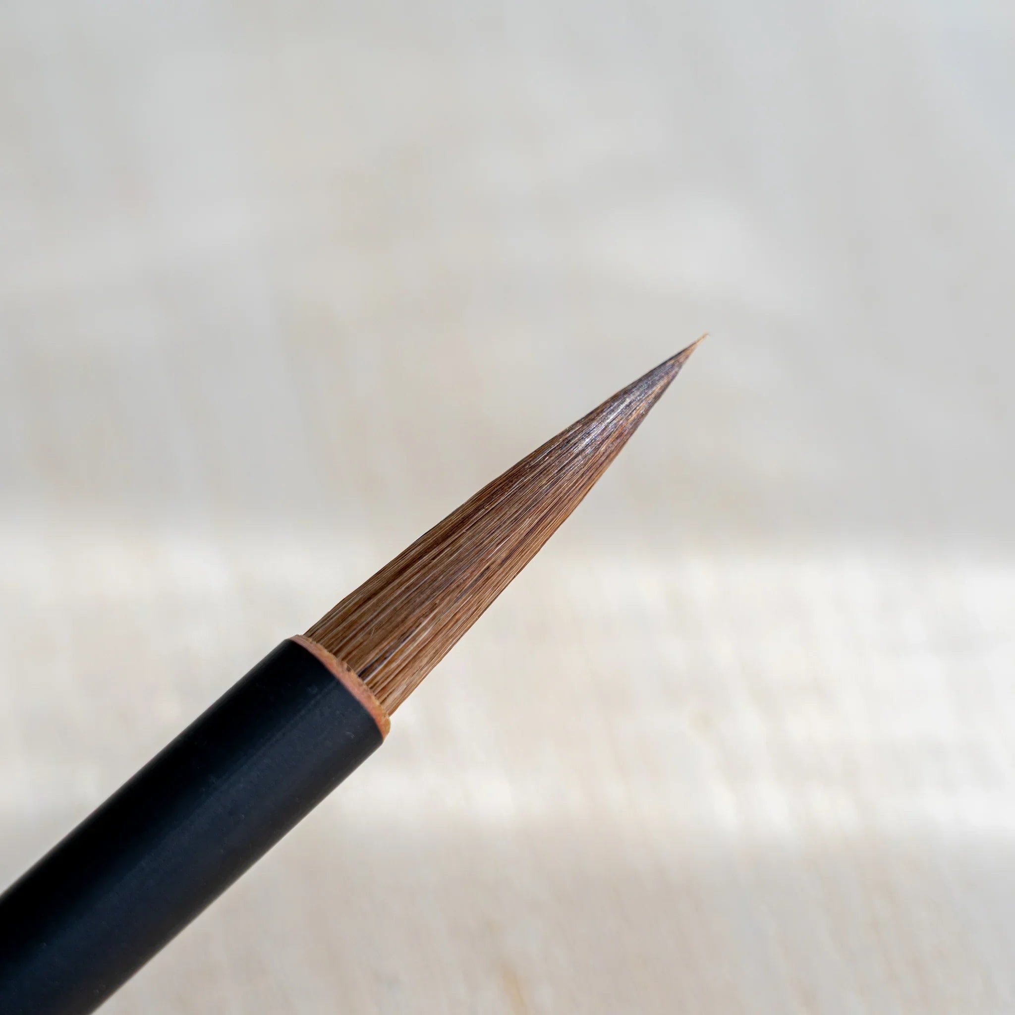 Akashiya Tsuketate painting brush (Small) with protective clear plastic cap on black handle, label reading 付立筆 (tsuketate fude)