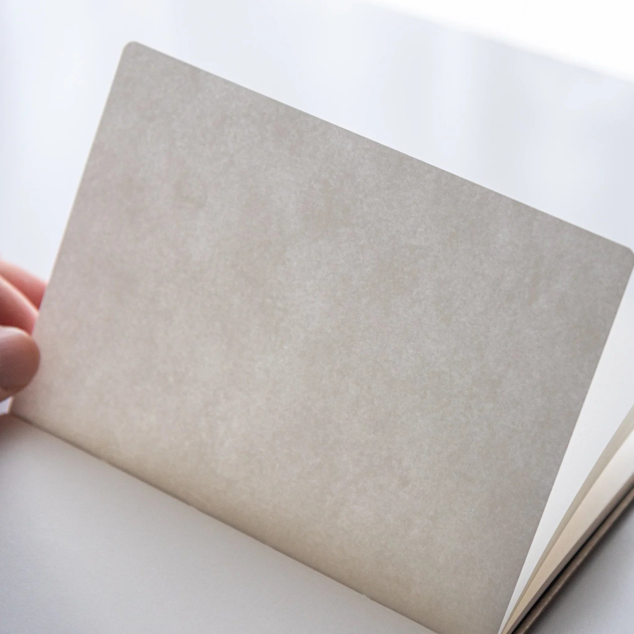 Light passes through thin paper of Dressco Bank Ledger Paper Japanese Notebook in Lime Gold.