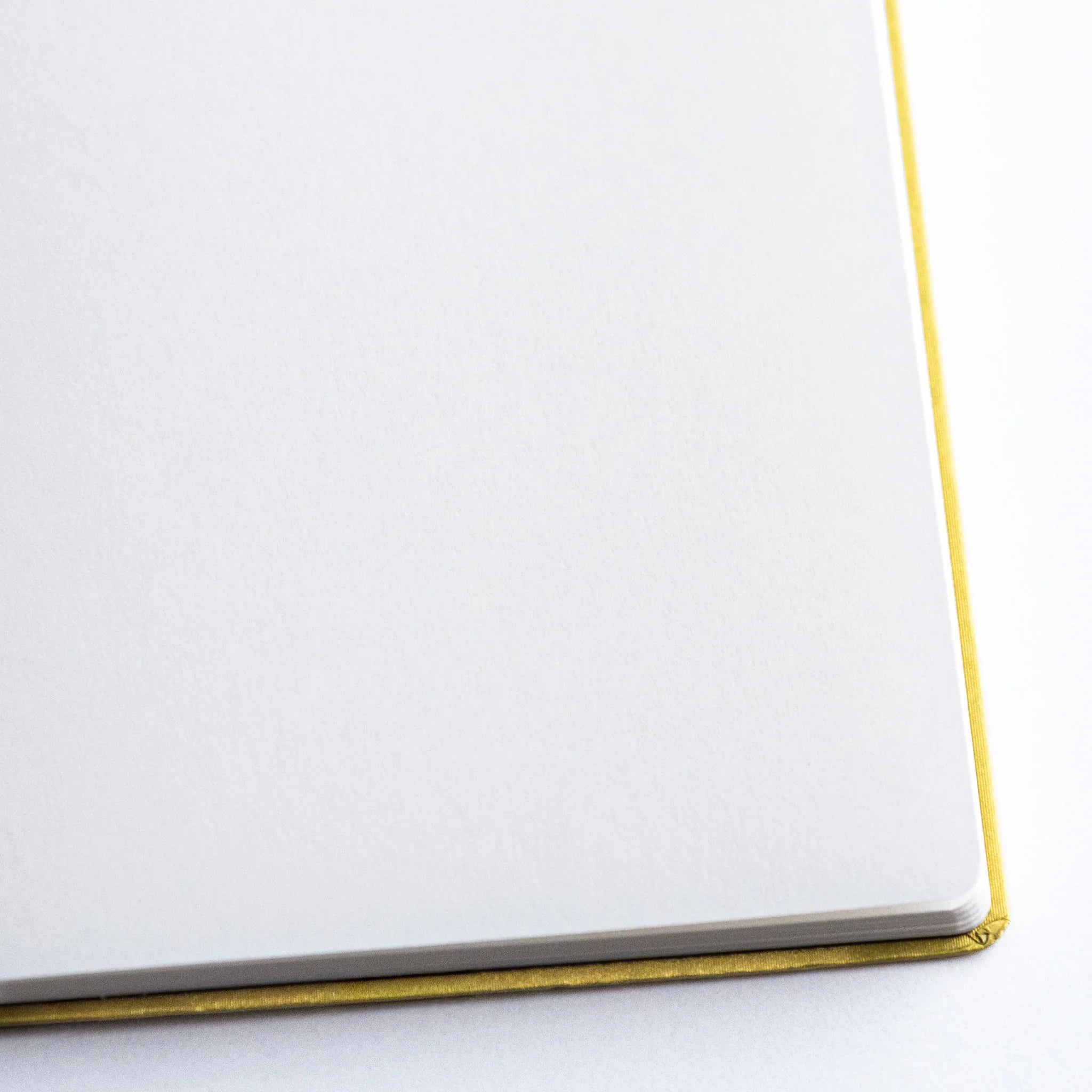 Close-up of blank page corner of Dressco Bank Ledger Paper Japanese Notebook in Gold.