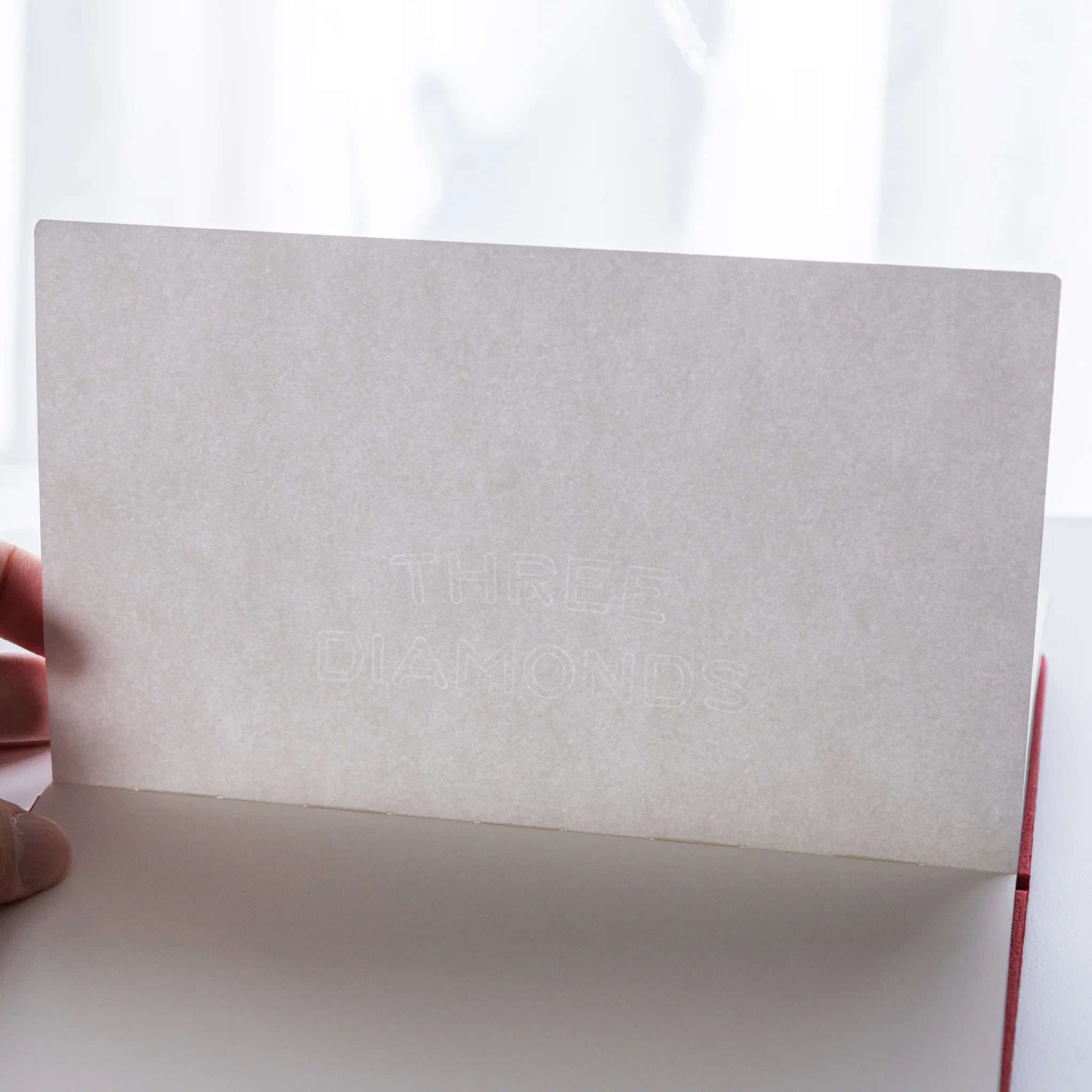 “THREE DIAMONDS” watermark detail on Dressco Bank Ledger Paper Japanese Notebook page.