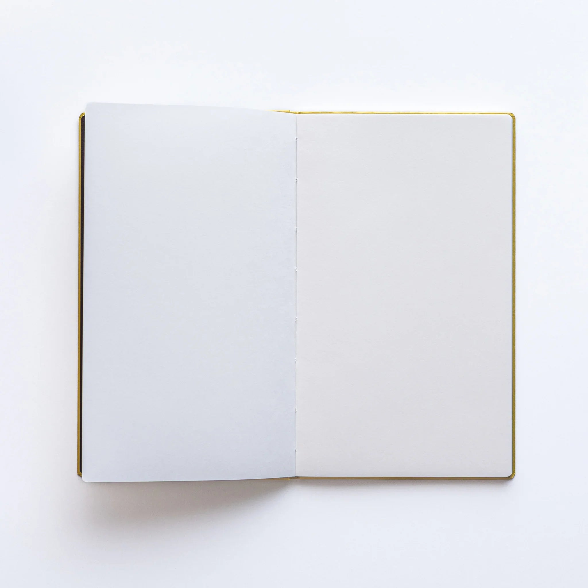 Open Dressco Japanese Notebook in Gold with blank ledger paper pages.