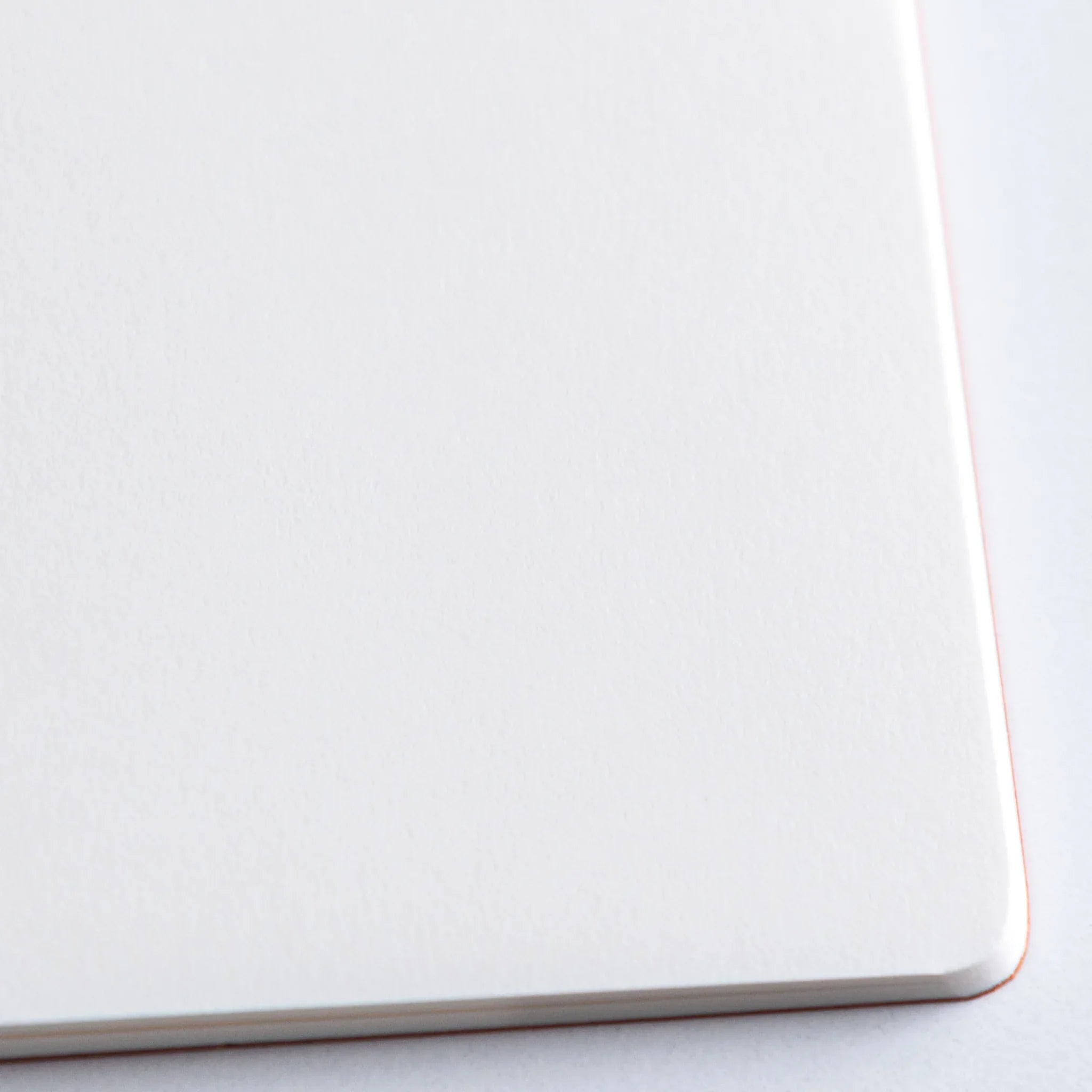 Close-up of smooth blank paper inside Dressco Bank Ledger Paper Stitched Japanese Notebook, Gray.