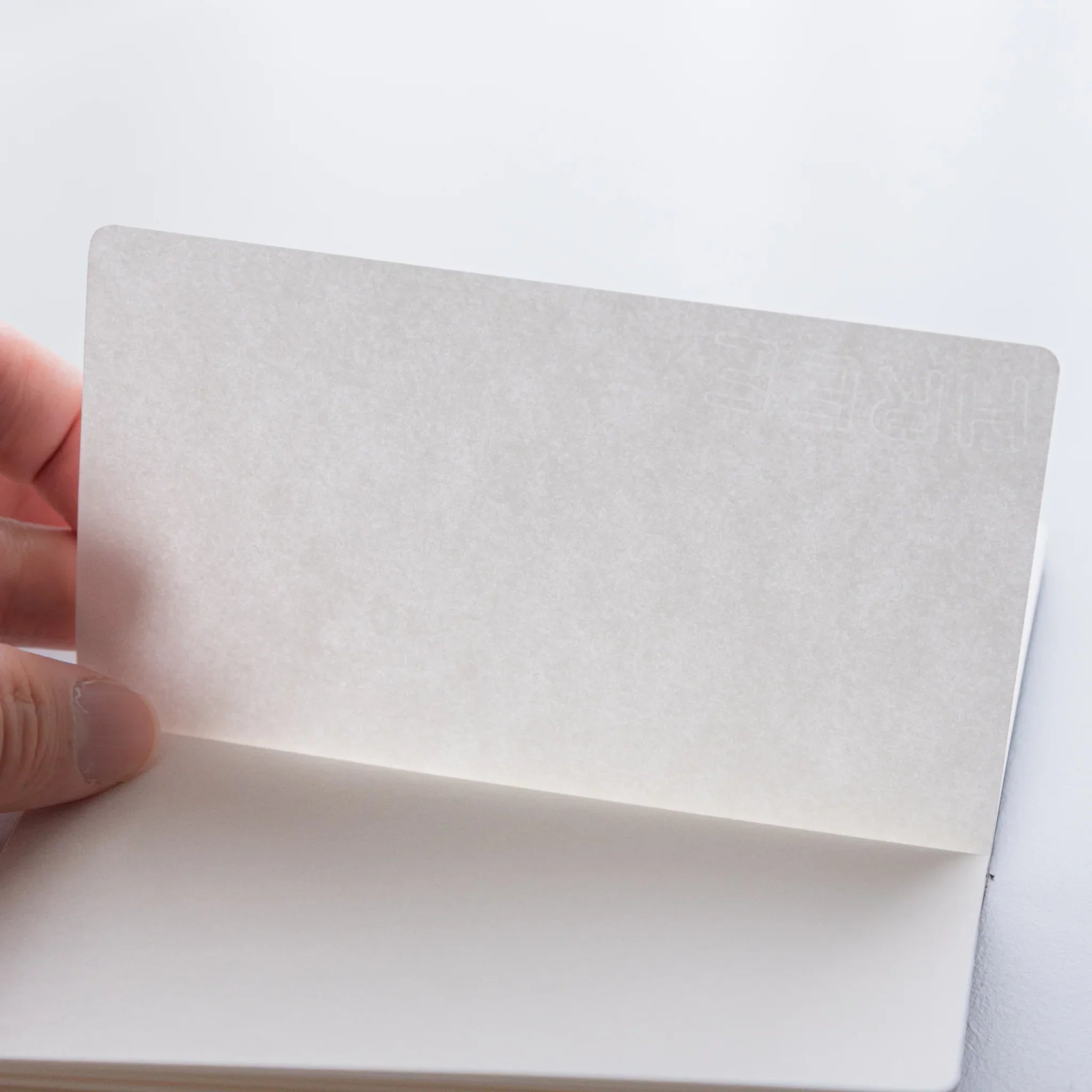 Turning pages of Dressco Bank Ledger Paper Stitched Japanese Notebook, Gray, showing paper texture.