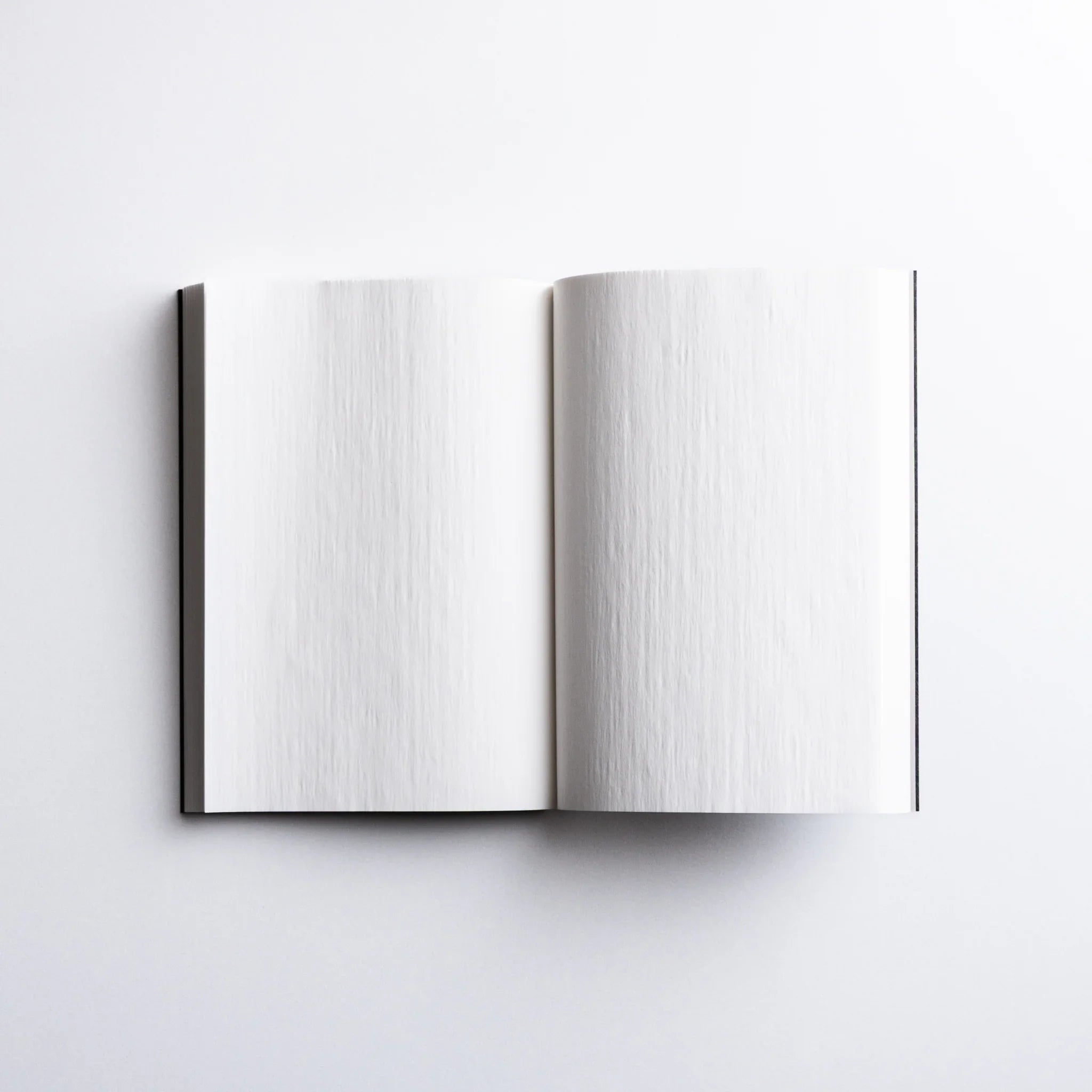 Open pages of Dressco Gray Onion Skin Japanese Notebook A6 showing light gray and white sheets.