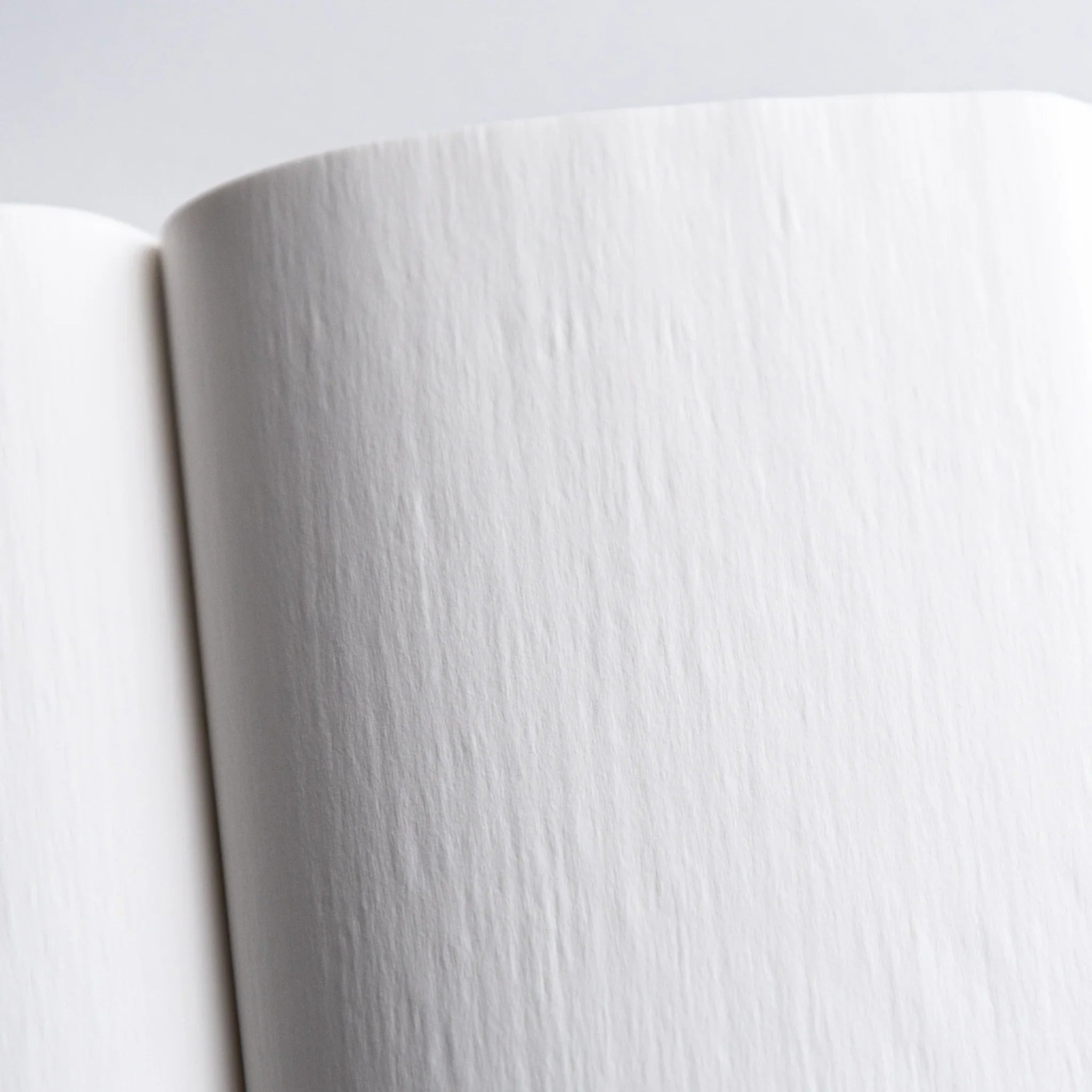 Inside spread of Dressco Gray Onion Skin Japanese Notebook A6 showing crisp onion-skin texture.