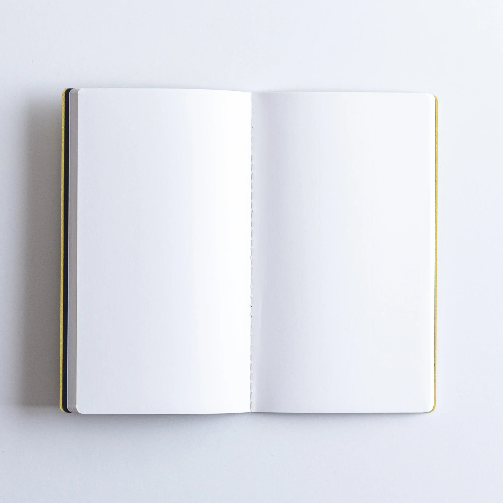 Flat lay of open Dressco Spica Laid Bond Japanese Notebook – Avocado.