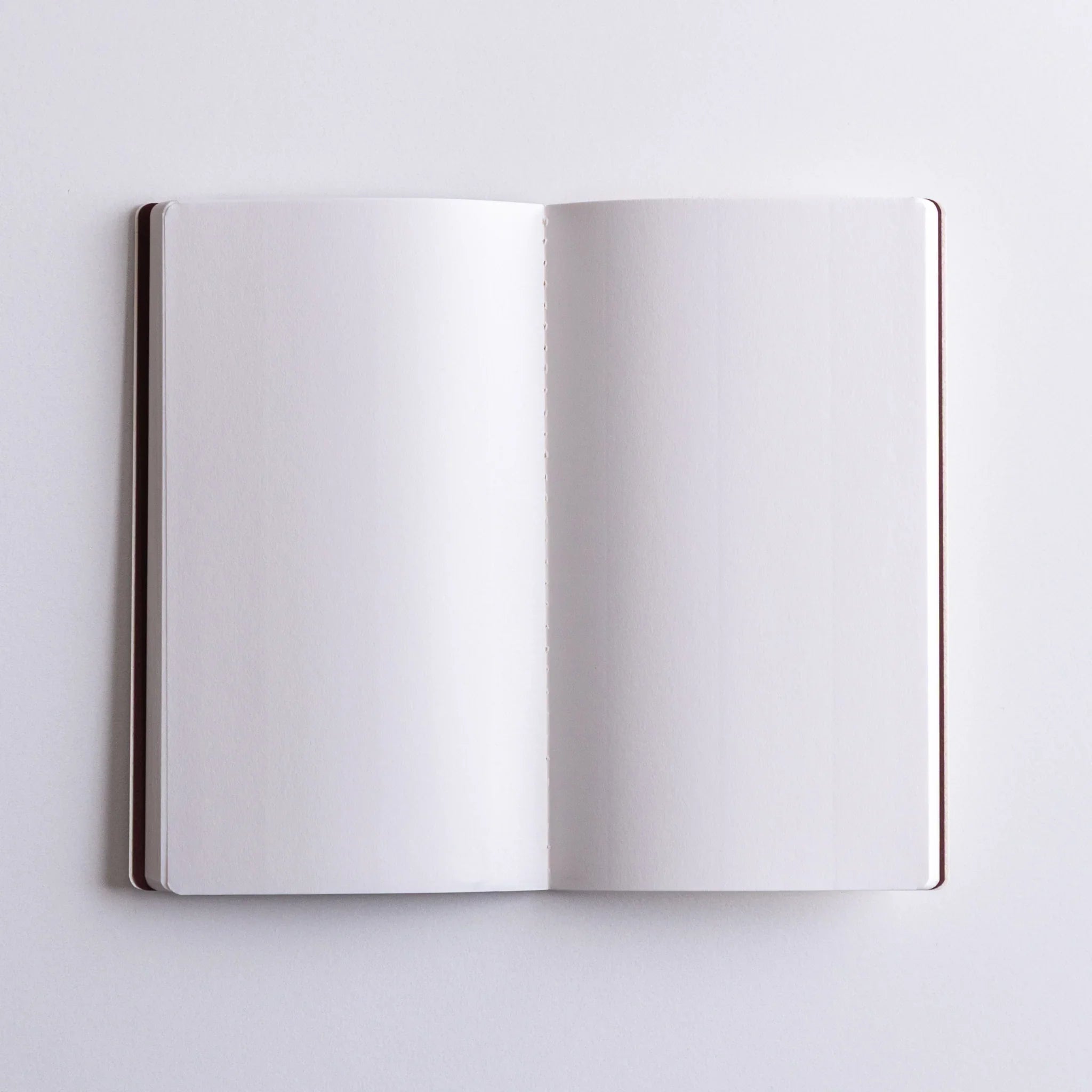 Flat lay of open Dressco Spica Laid Bond Japanese Notebook.