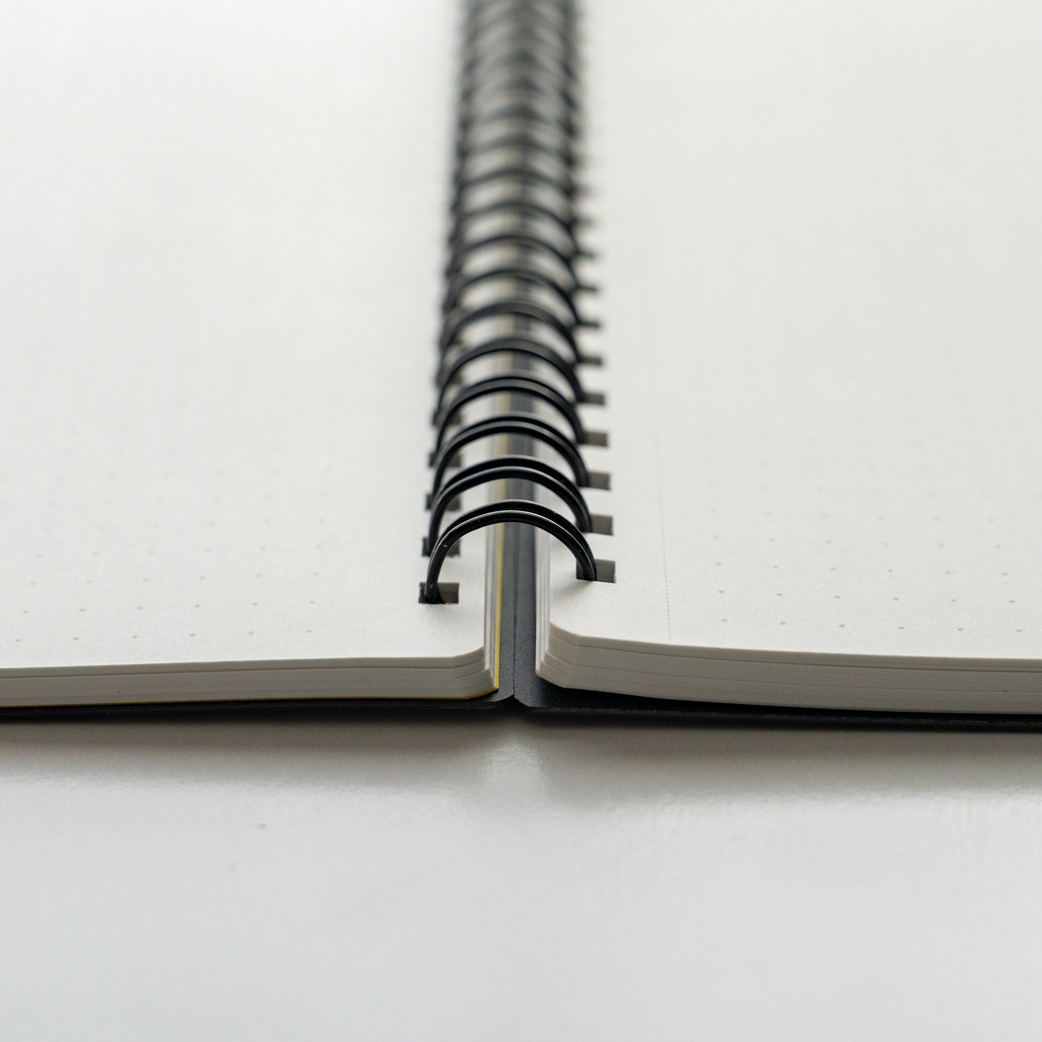 Maruman Mnemosyne 5 mm Dot Grid Notebook (A5, B5, A4)