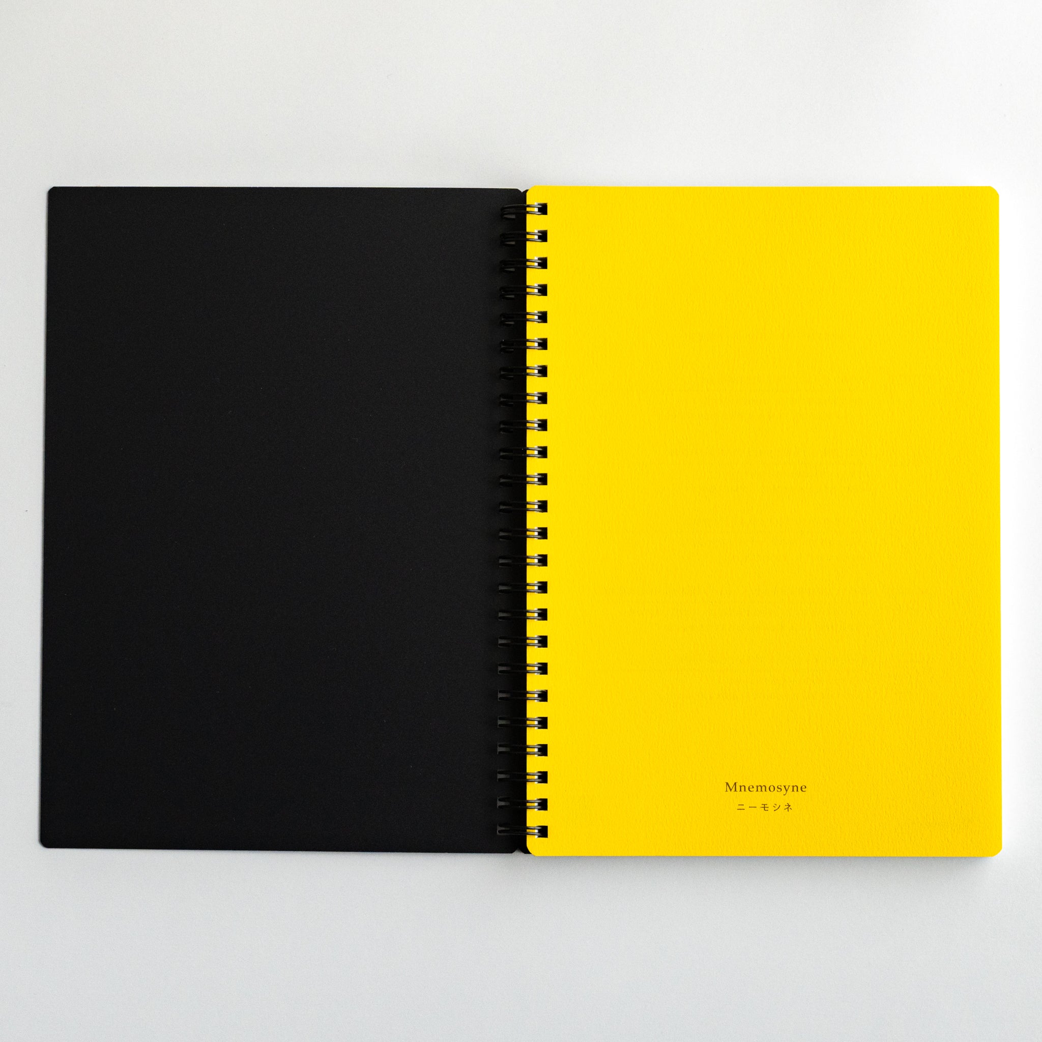 Maruman Mnemosyne 5 mm Dot Grid Notebook (A5, B5, A4)