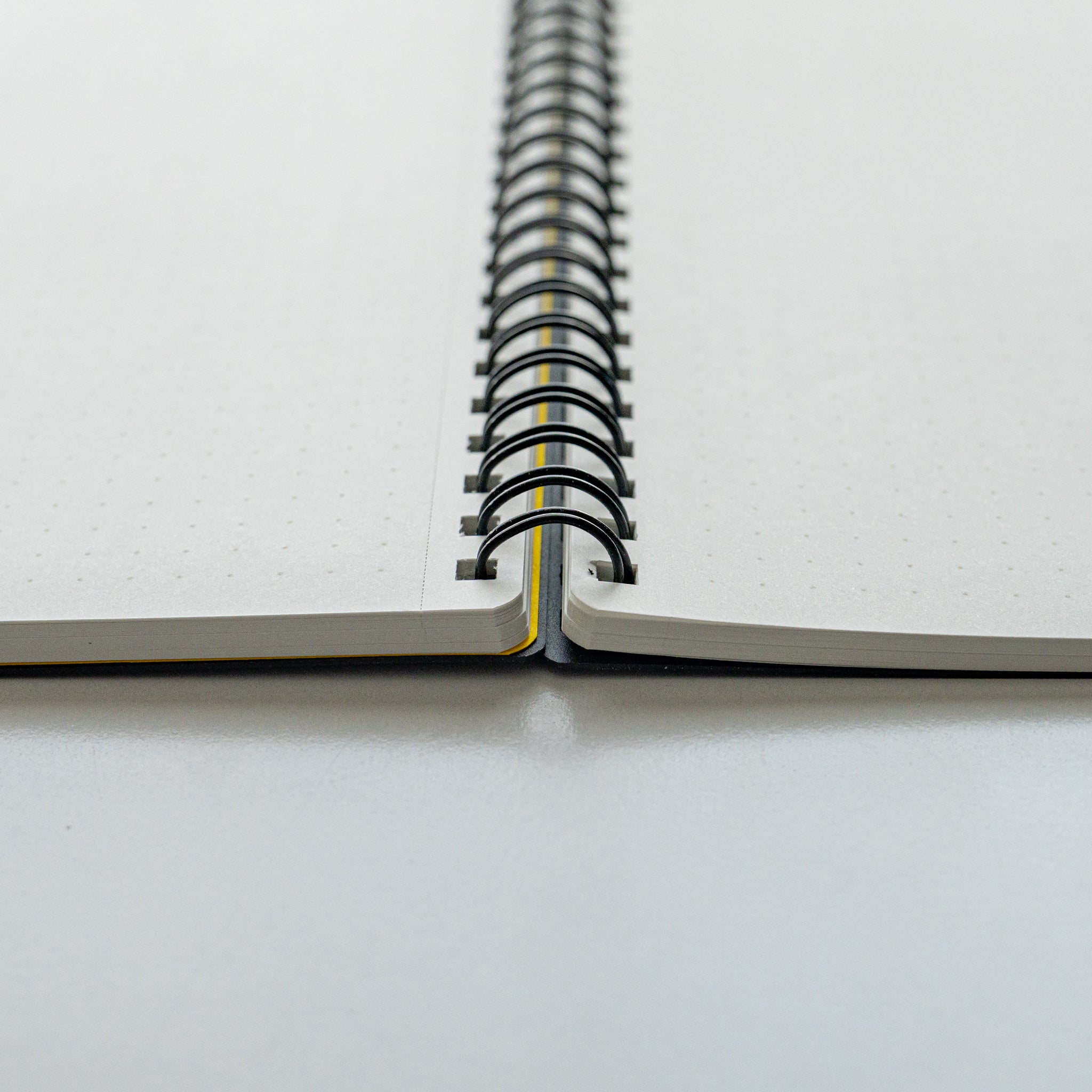 Maruman Mnemosyne 5 mm Dot Grid Notebook (A5, B5, A4)