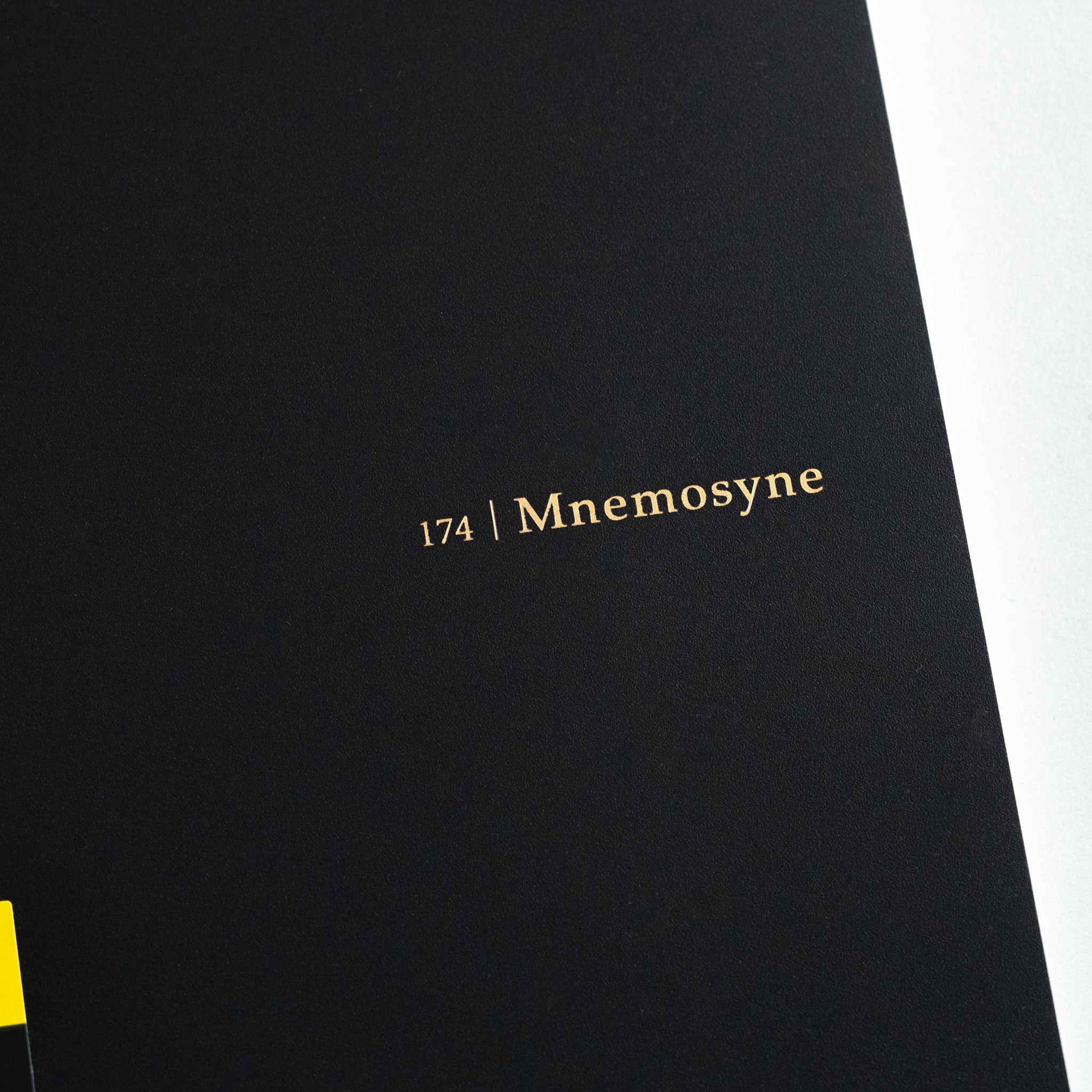 Maruman Mnemosyne notebook cover featuring 174 series number and gold Mnemosyne logo on a black background.