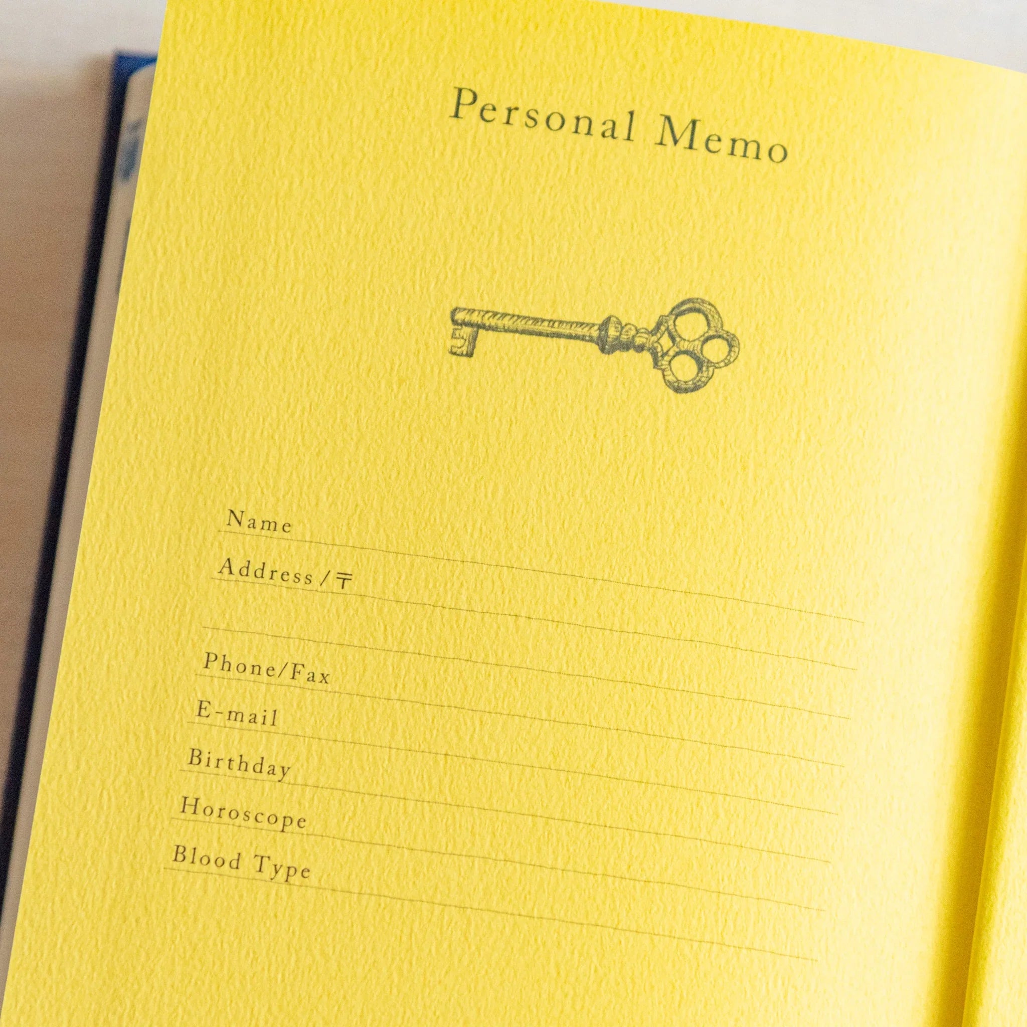 Close-up of Midori Japanese journal 10-year diary showing yellow personal memo page with key illustration.