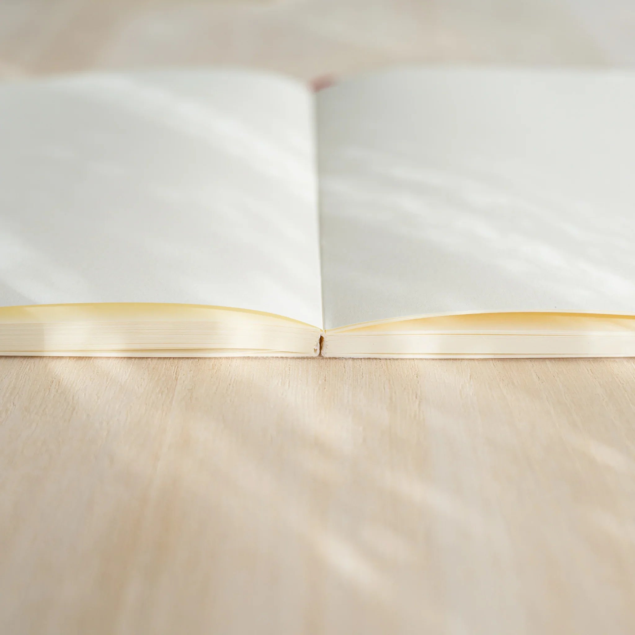 Midori MD Notebook A6 Blank open flat showing blank ivory page spread with visible center spine, lying on wooden surface