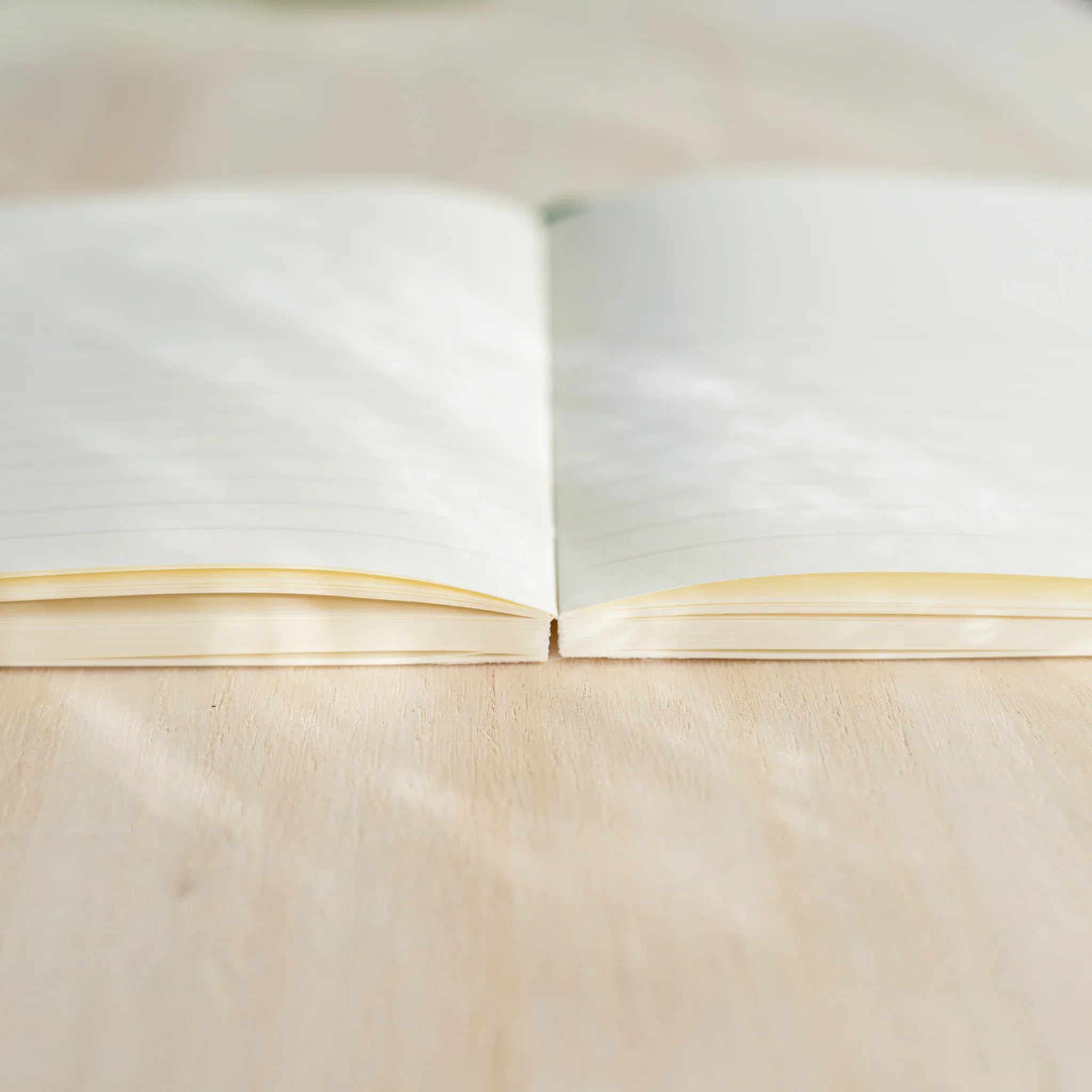 Midori MD Notebook A6 Lined side view open flat, ivory page edges visible at bottom, green bookmark ribbon at top