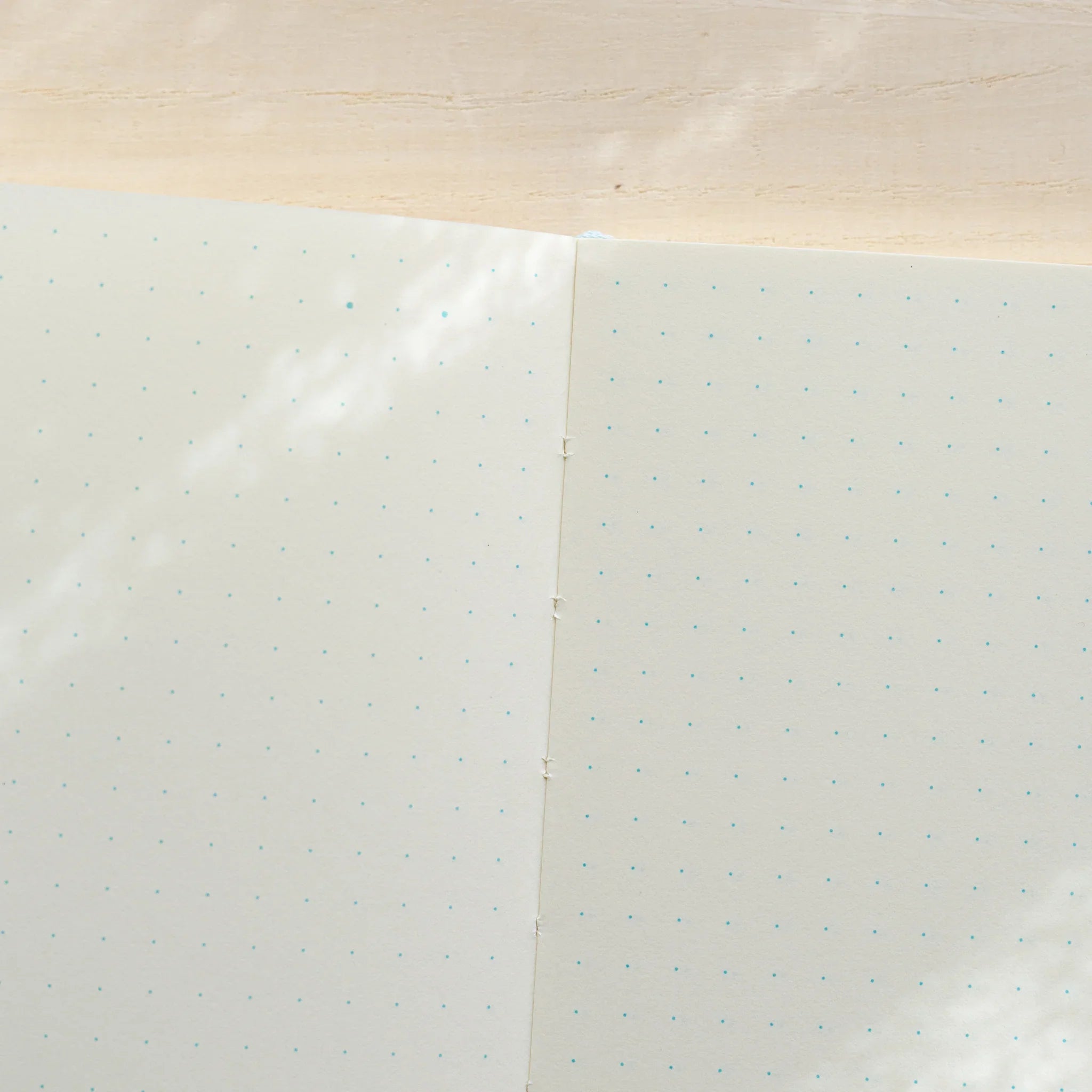 Midori MD Notebook A6 open to ivory dot grid page spread, small teal dots visible, center spine with thread-stitched binding