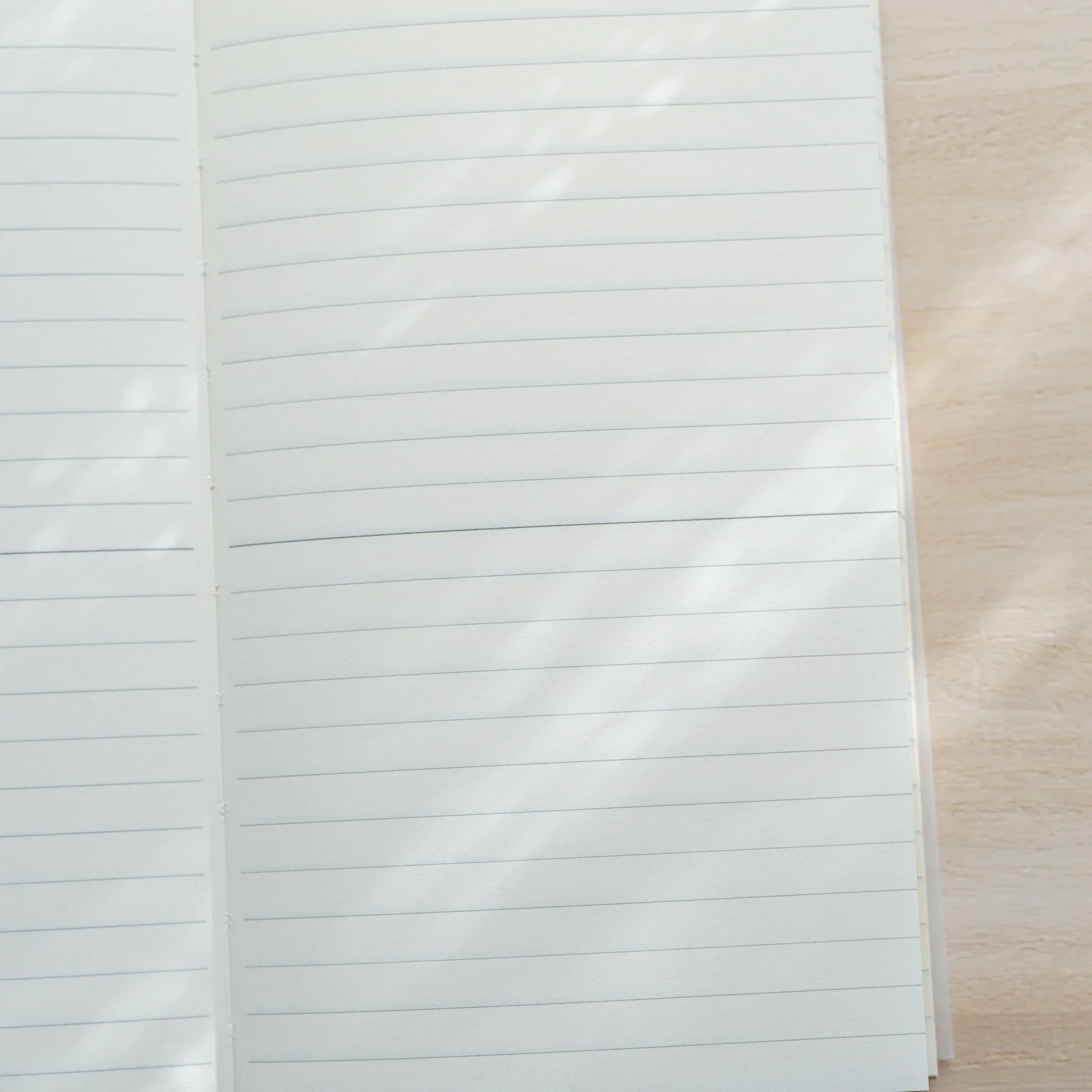 Close-up of Midori MD Notebook B6 Slim Lined open spread, white paper with gray lines, bold centerline divides each page
