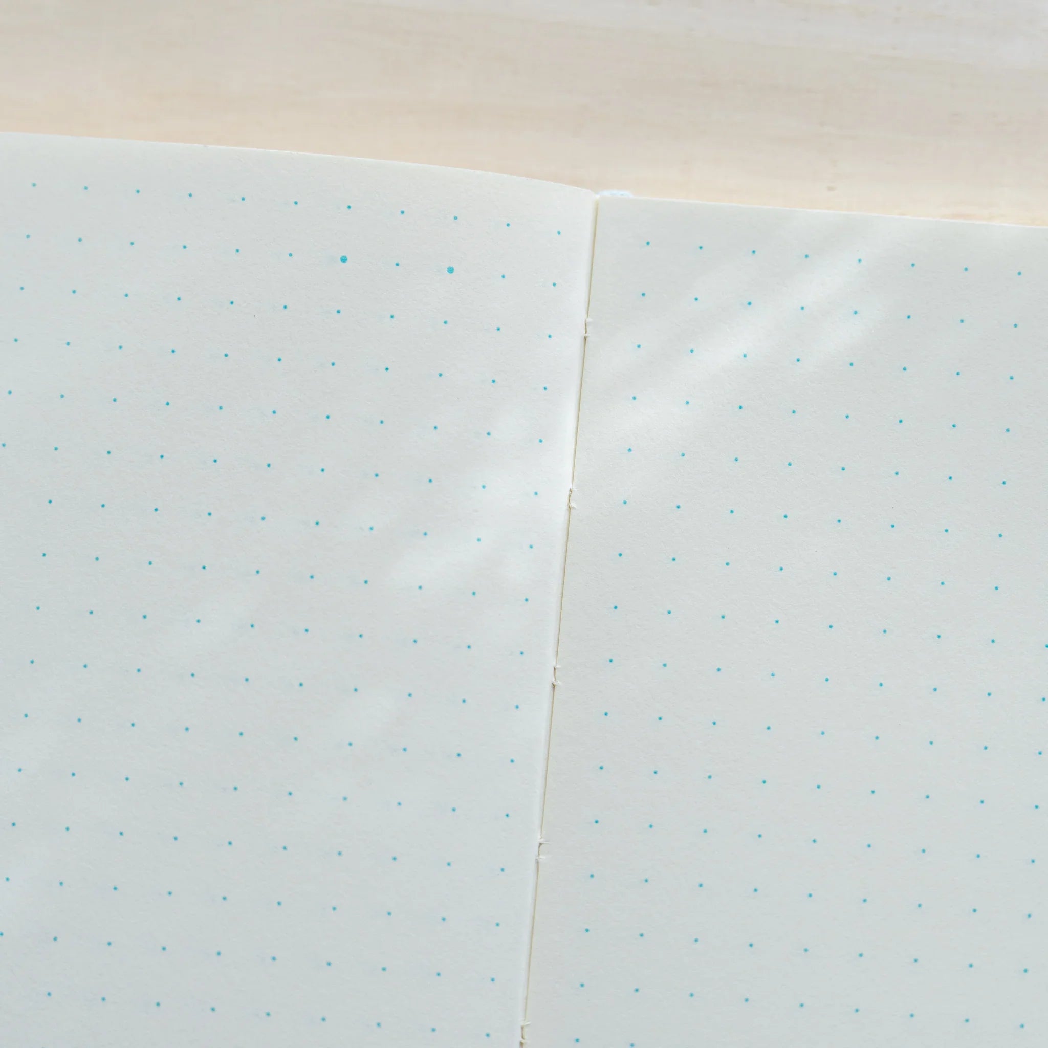Close-up of Midori MD Notebook B6 Slim open to dot grid spread showing teal blue dots on ivory paper and center spine