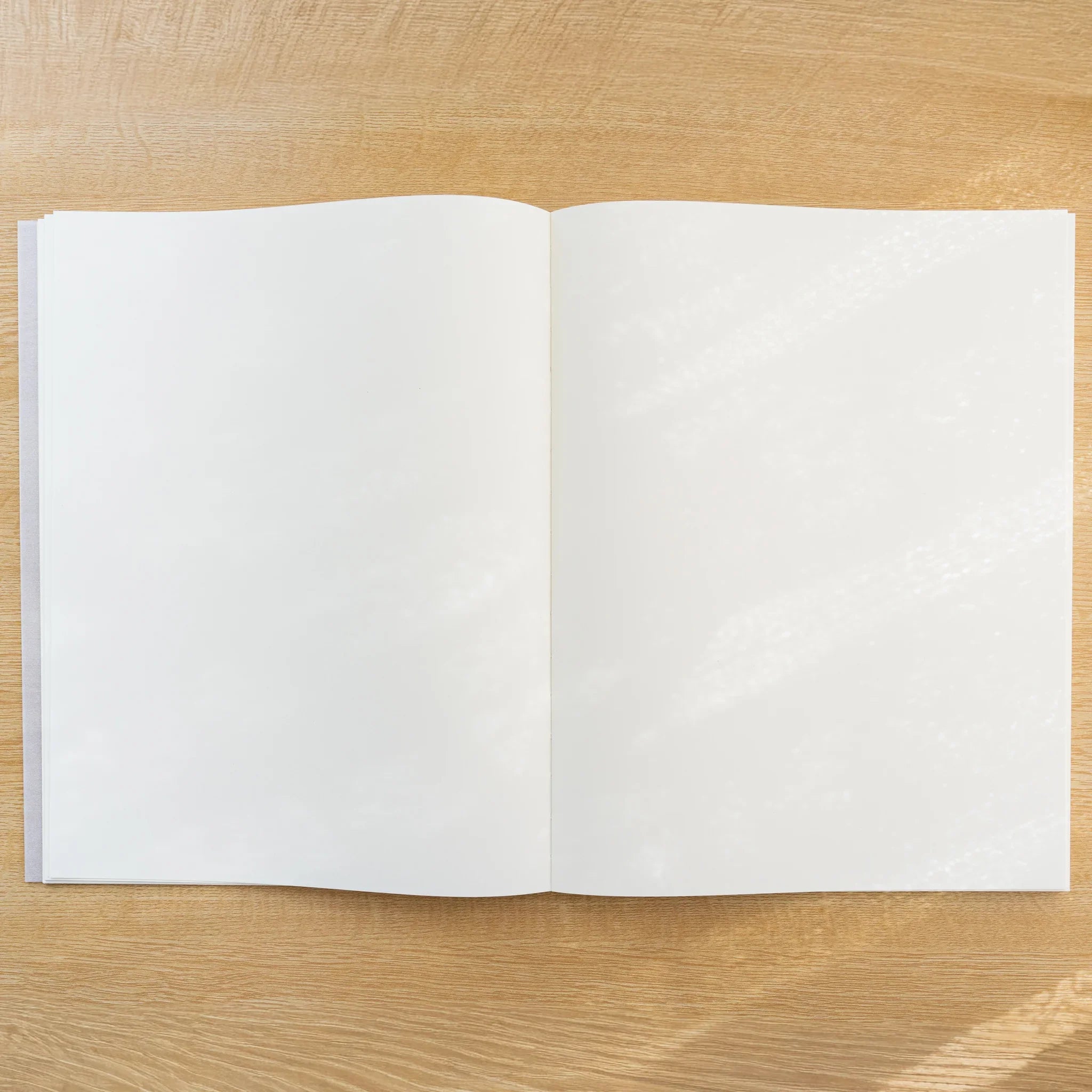 Midori MD Notebook Blank A4 Variant open flat, showing two unlined blank cream MD paper pages