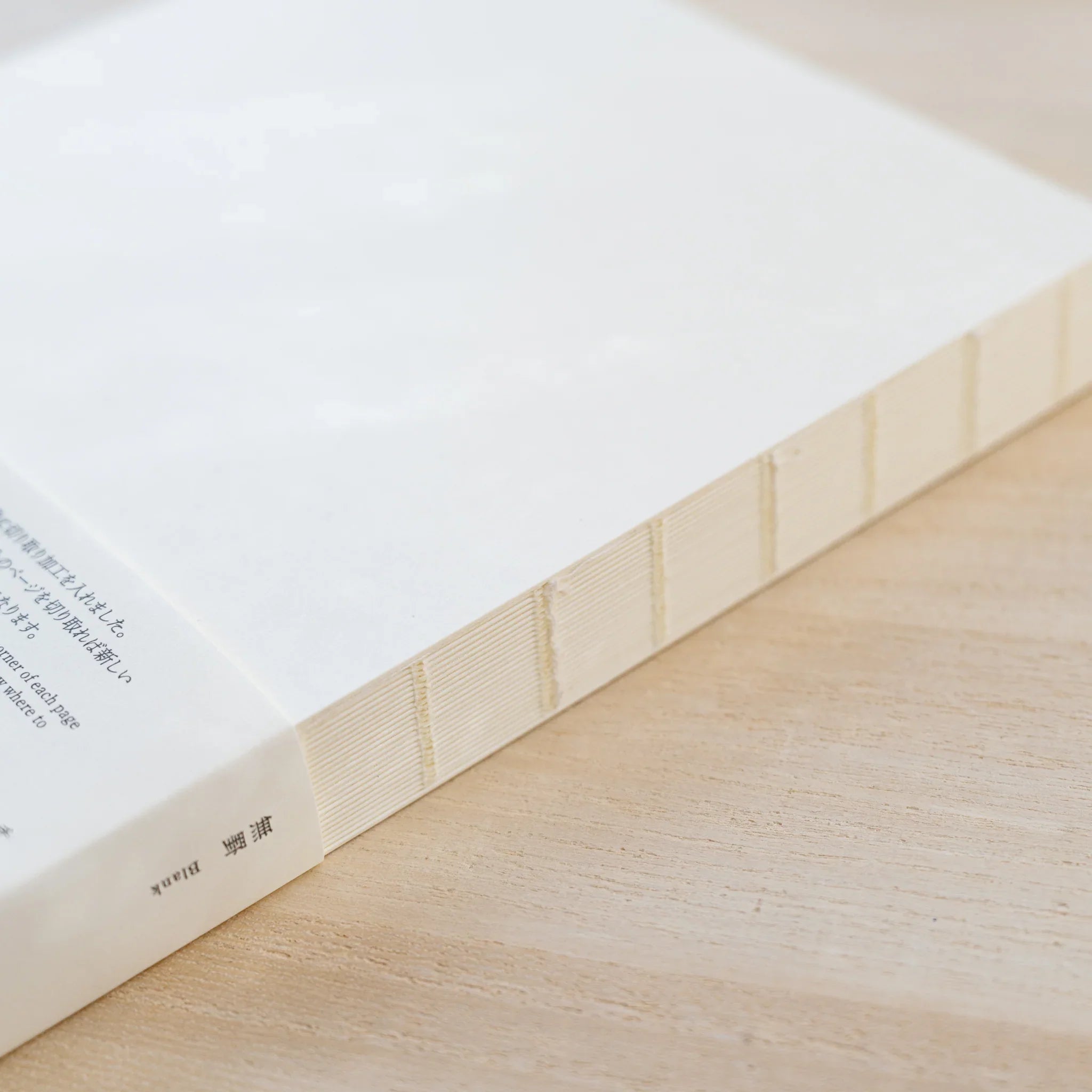 Close-up of Midori MD Notebook spine with exposed beige cross-stitch thread binding, back cover text including Blank