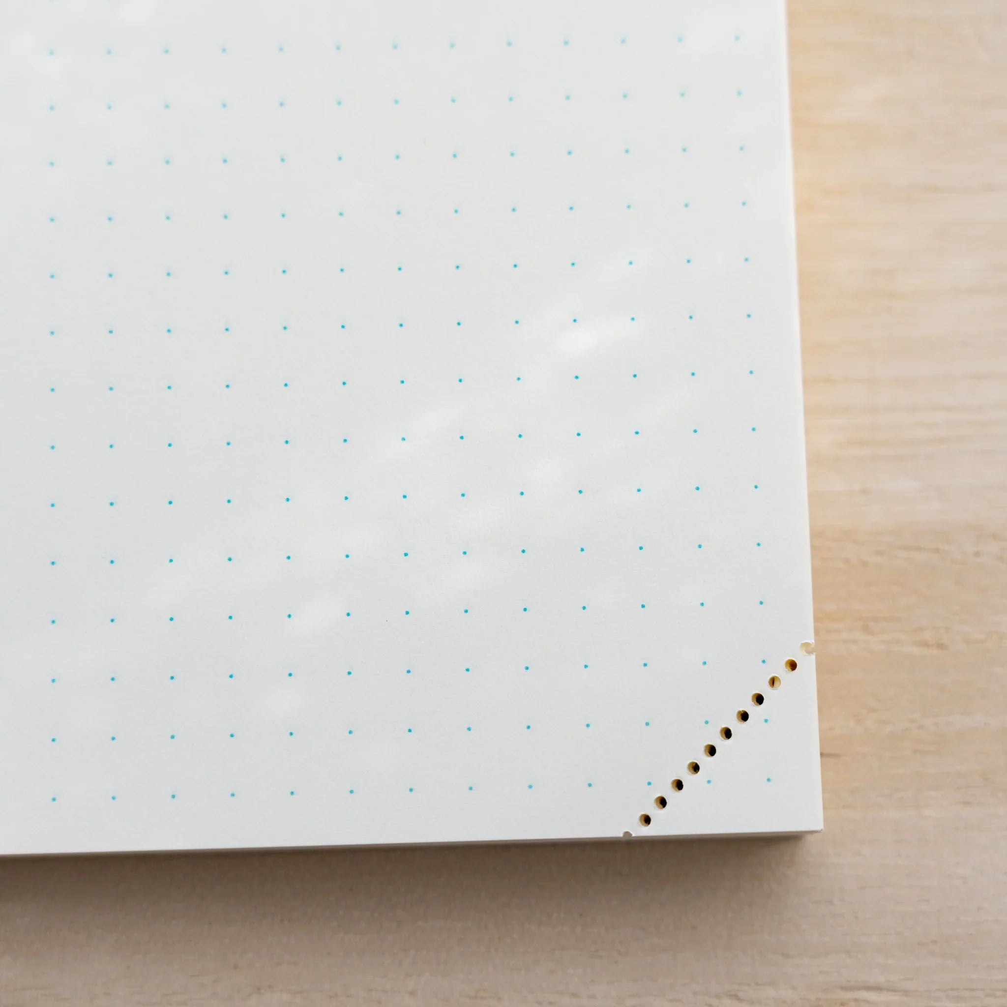 Close-up corner of a Midori MD Notebook Journal dot grid page with pale blue dots and perforated gold-dot corner