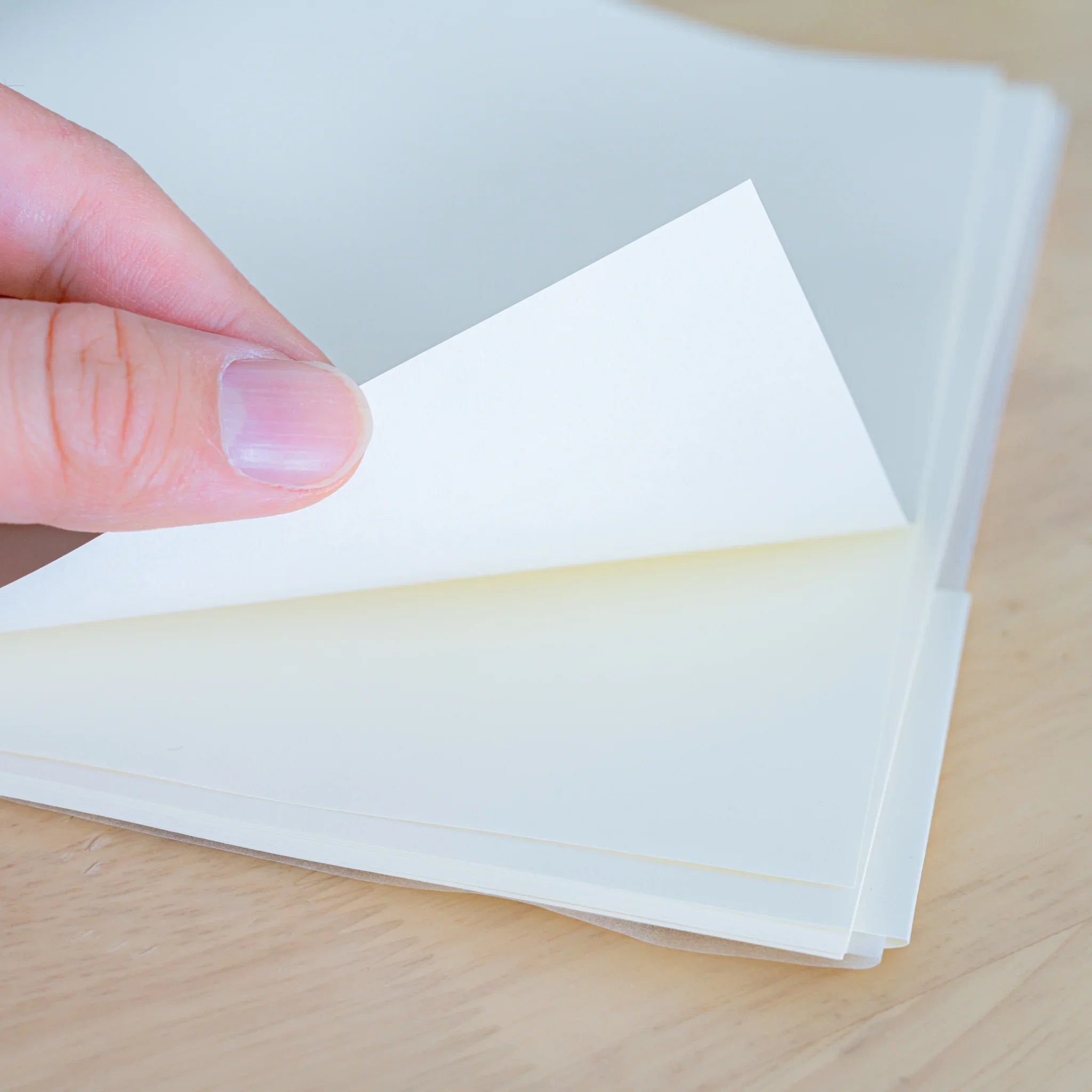 Midori MD Notebook Lined – A4 Variant