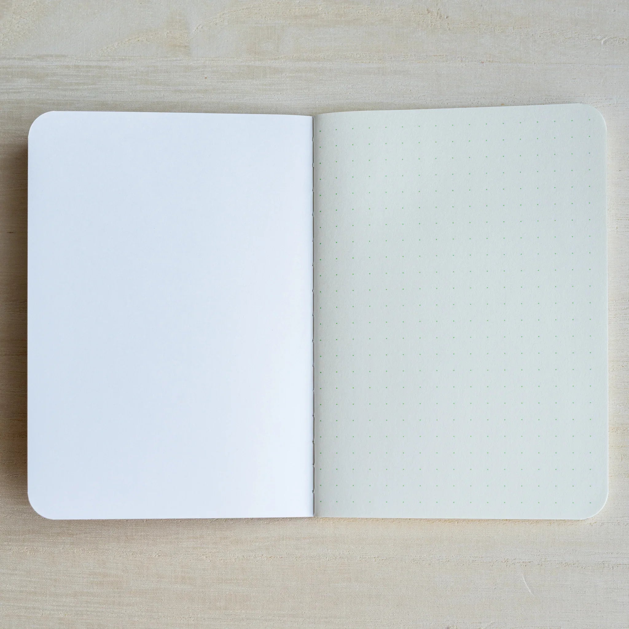 RO-BIKI Kingyo Goldfish notebook opened to a blank white page facing a page of pale green dot grid