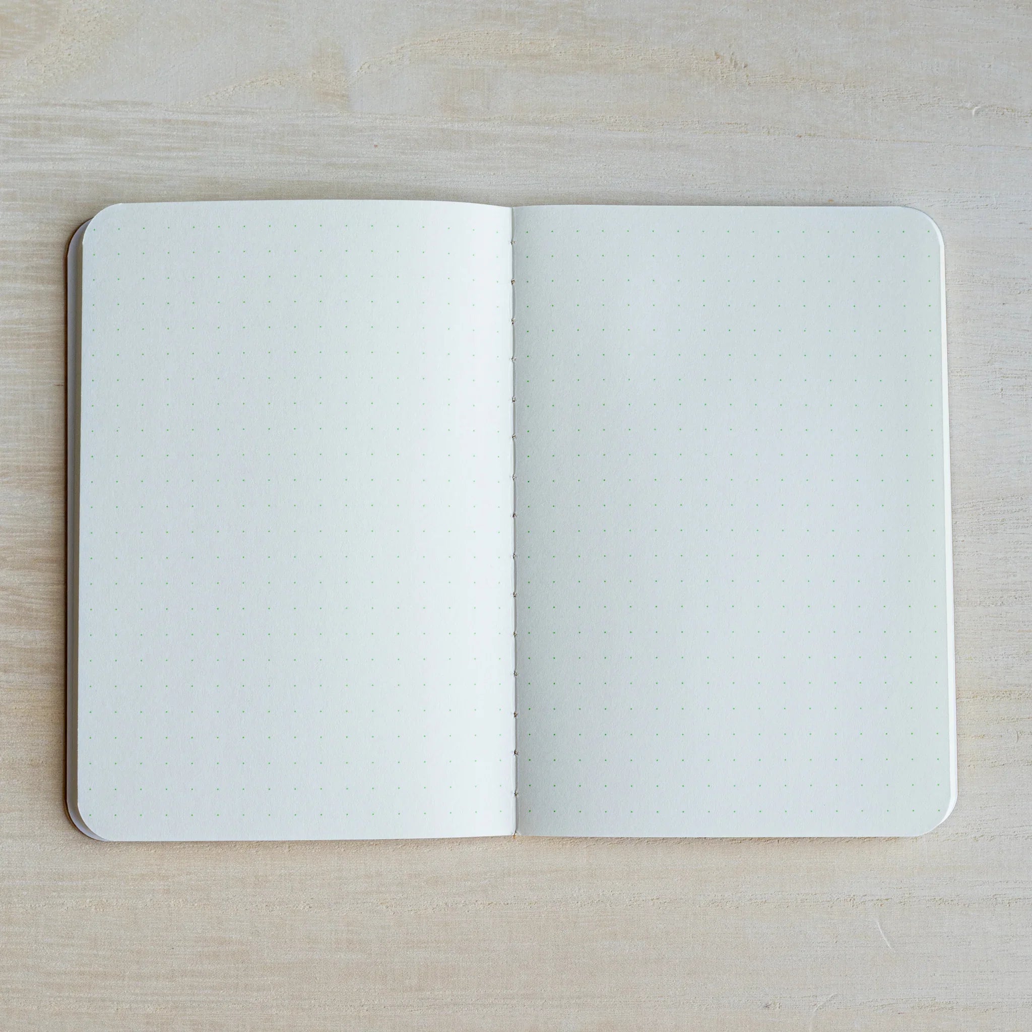 RO-BIKI Kingyo Goldfish notebook opened flat to a two page spread of pale green 5 mm dot grid