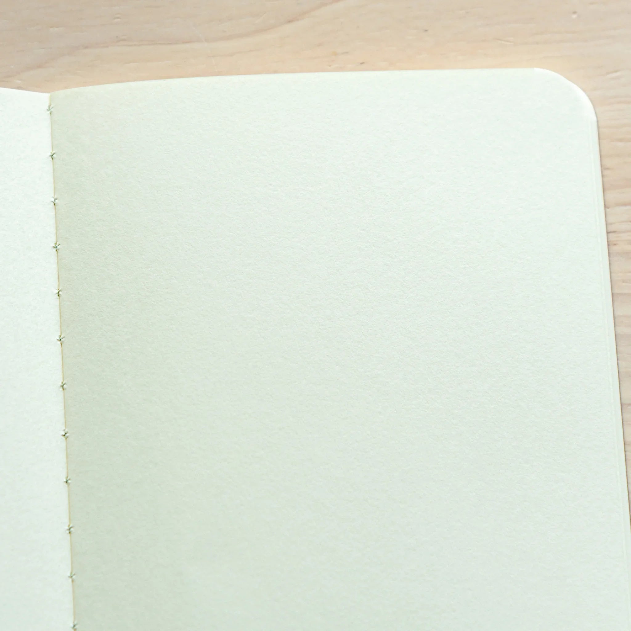 Close-up of inside pages, Japanese Notebook RO-BIKI Star Map series with smooth plain sheets.